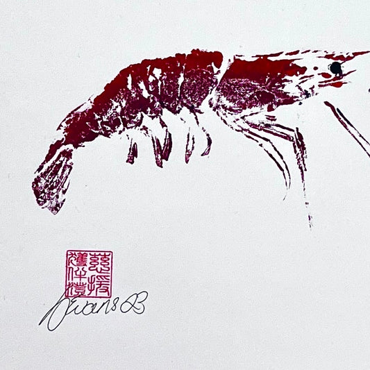 Gyotaku Impression taken from the surface of a Large Prawn