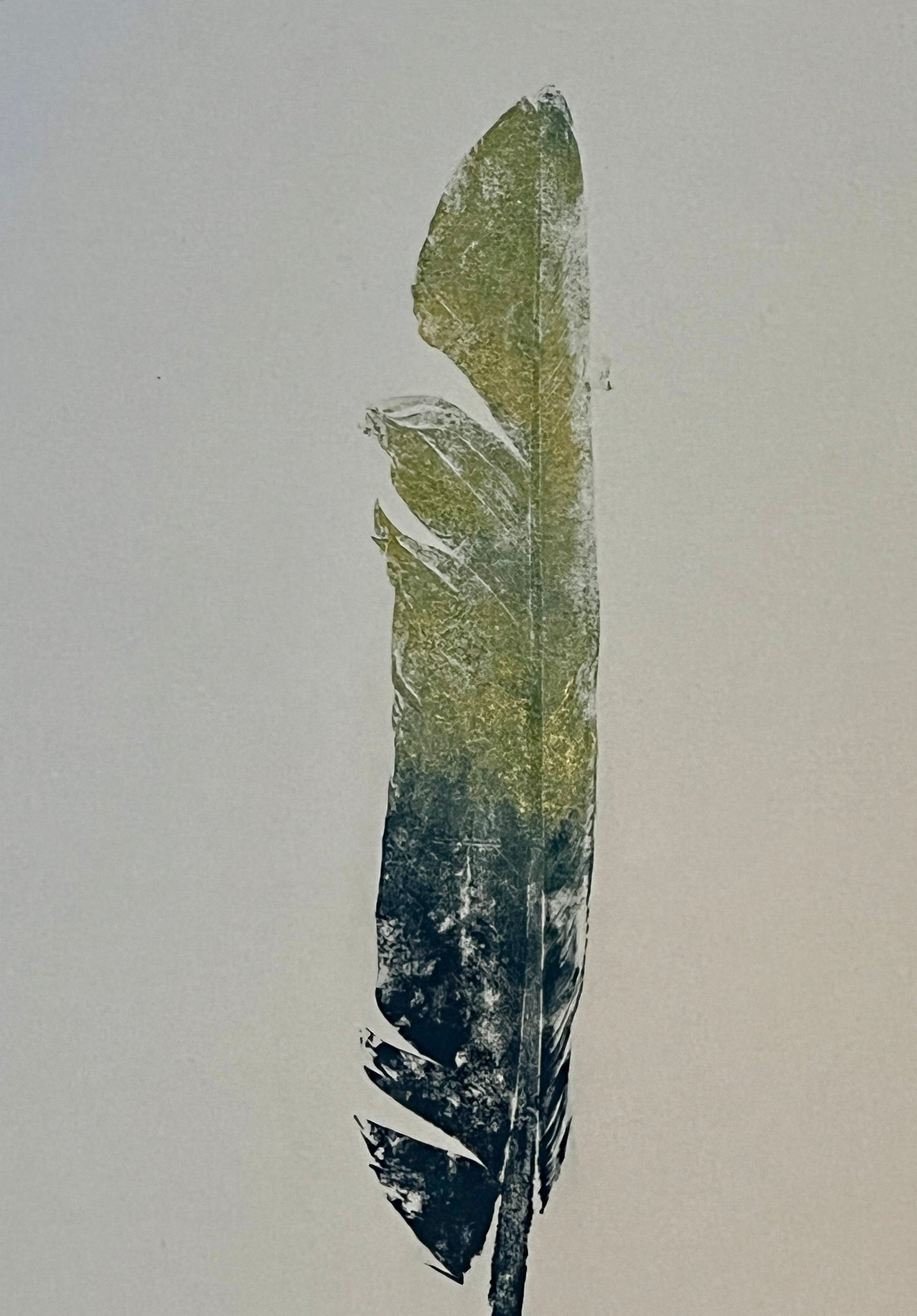 Swan Feather Gyotaku in Blue and Green Ink