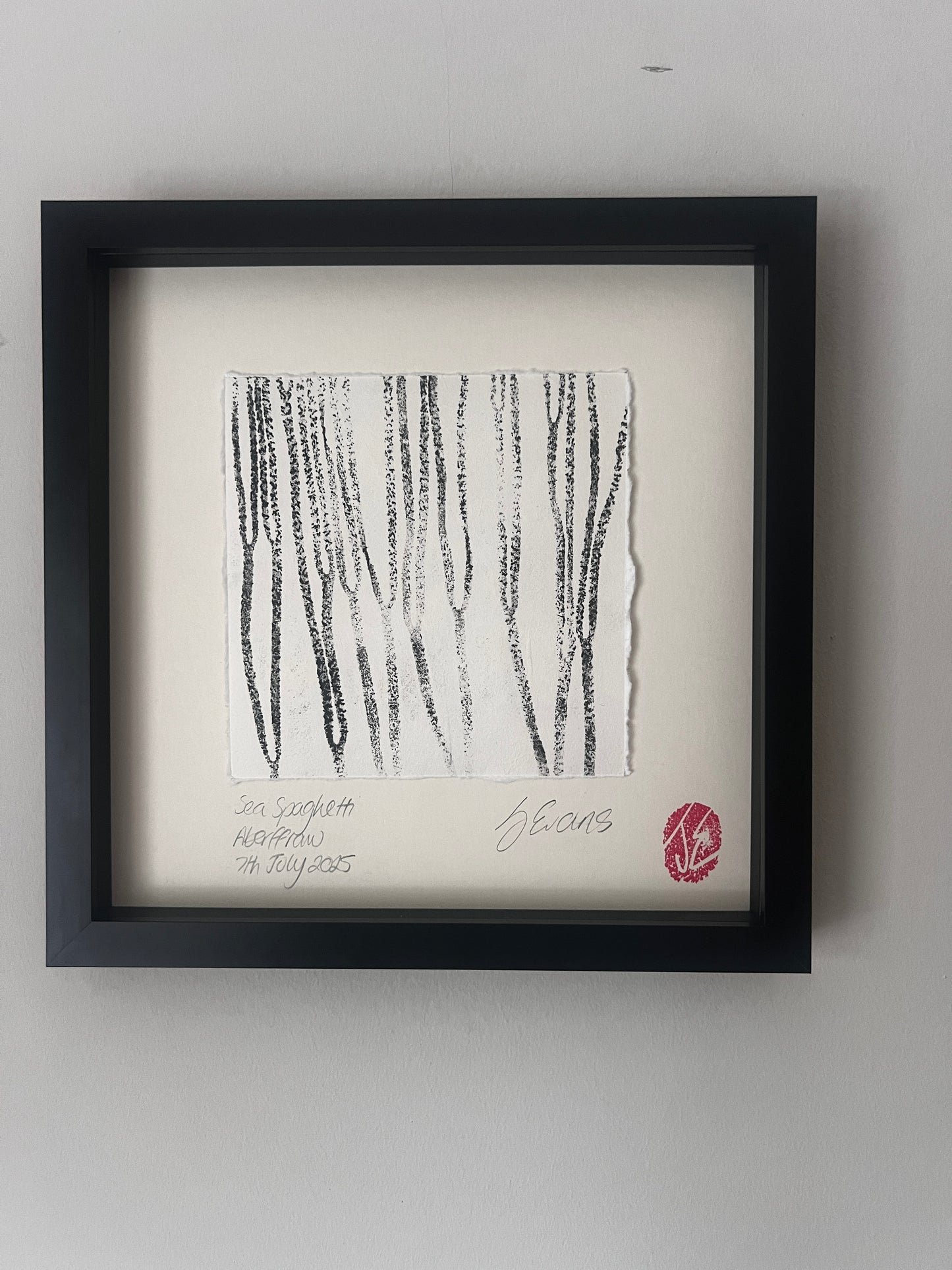 Sea Spaghetti