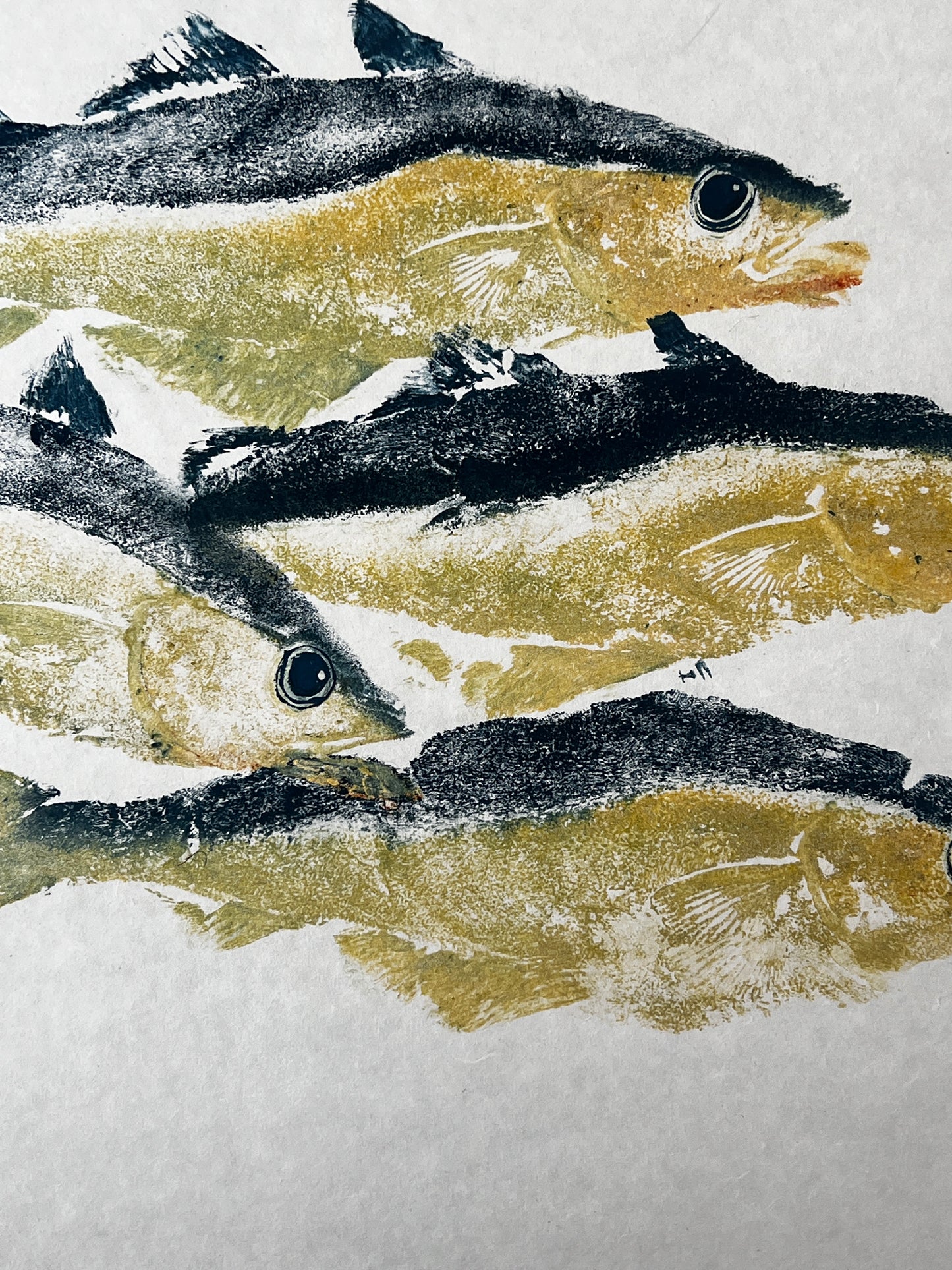 Menai Strait Pollock Gyotaku