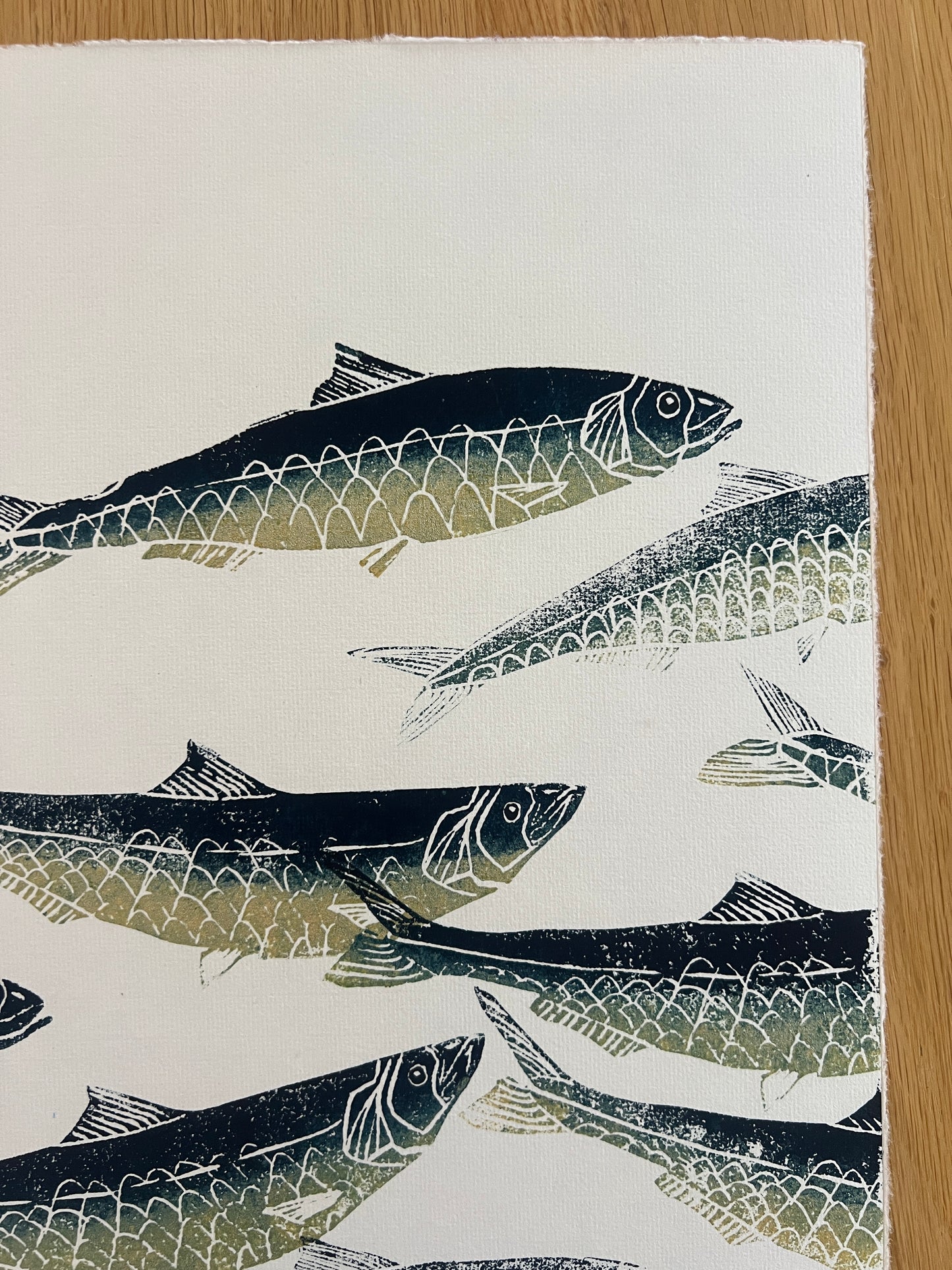 A3 Sardines Print – Hand-Carved Linotaku