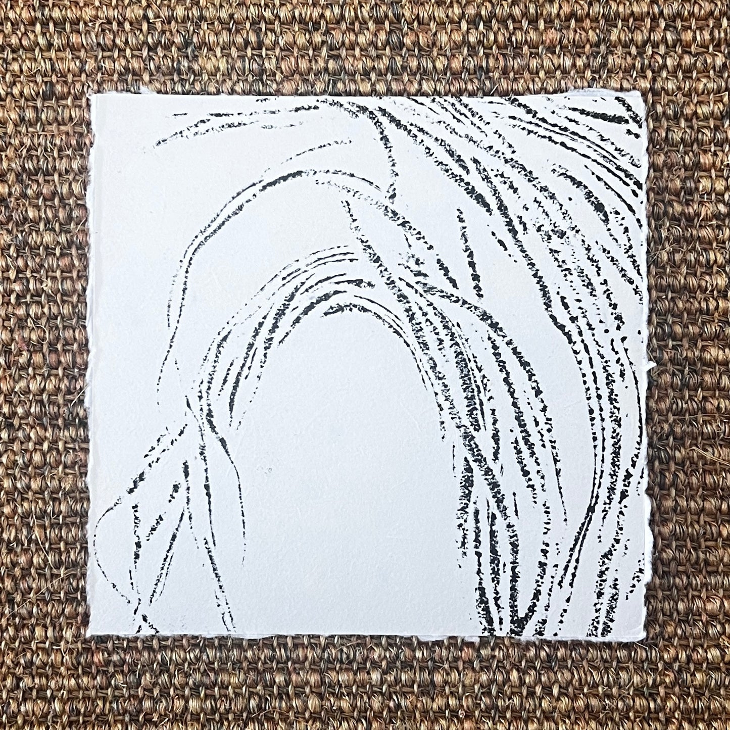 Sea Spaghetti