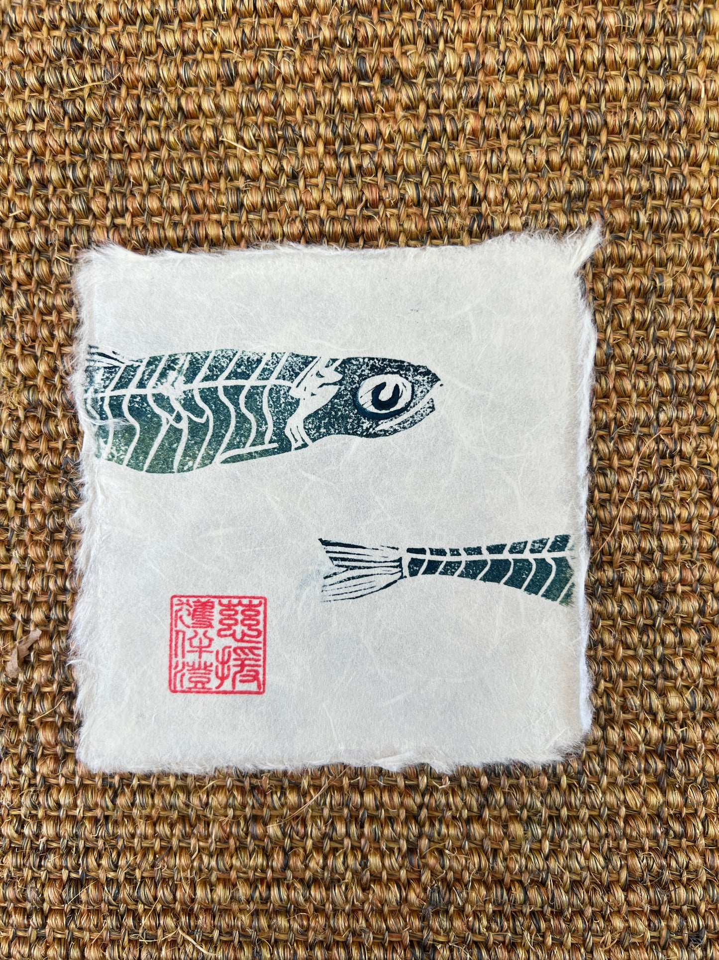 Linotaku of an Anchovie