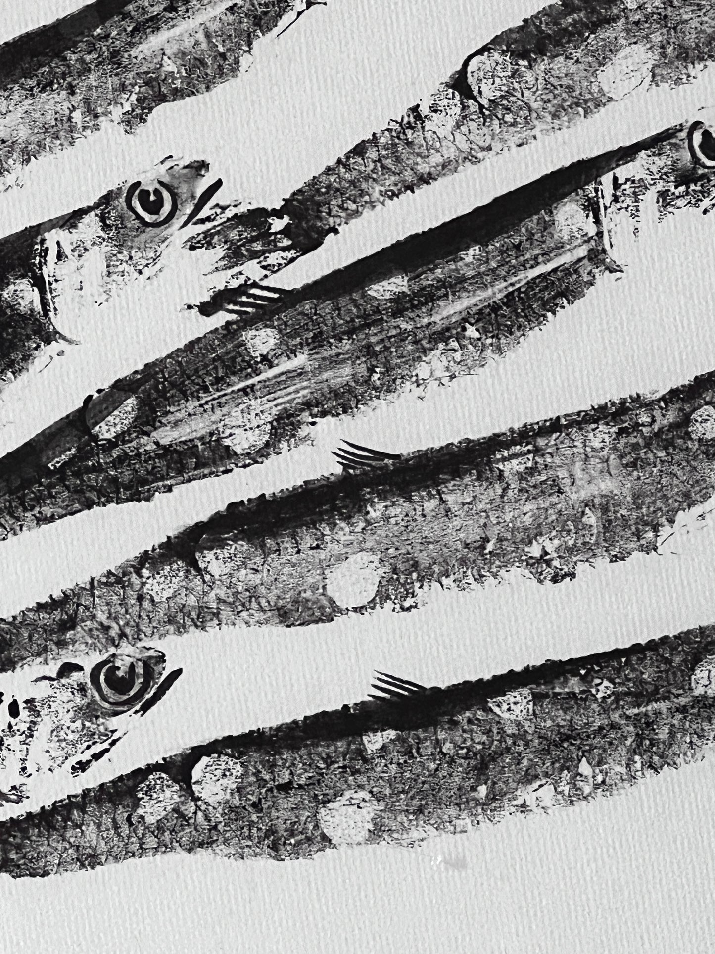 FRAMED A4 GYOTAKU OF ANCHOVIES