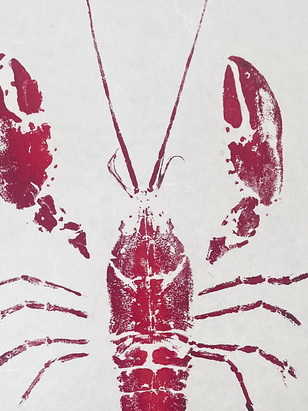 Menai Strait Lobster, Gyotaku Printed in Red ink.