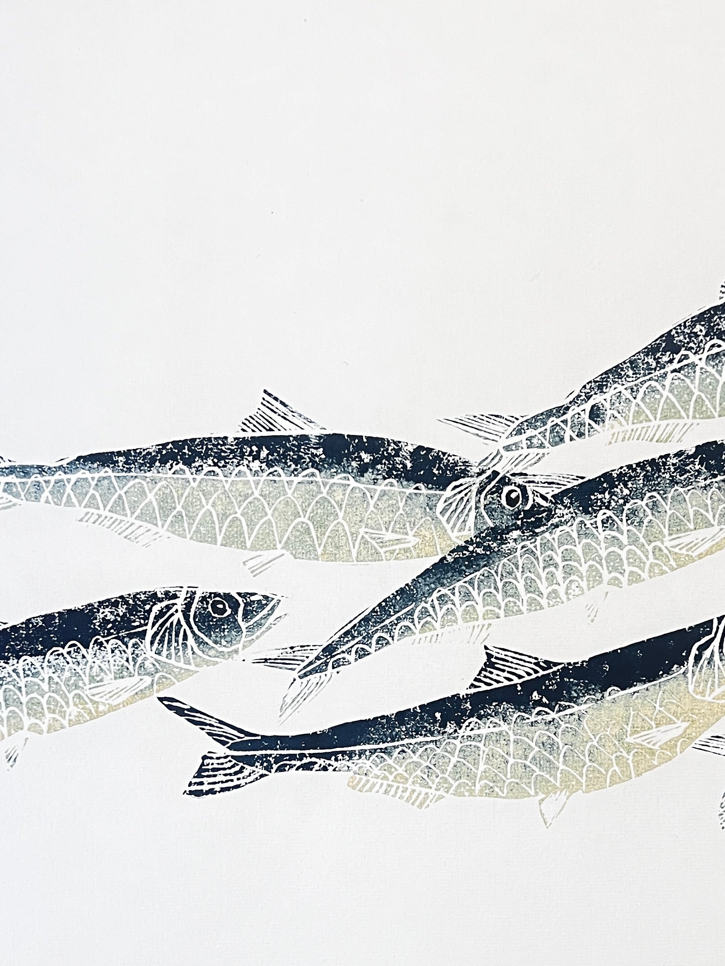 Sardine Lino Print Gyotau