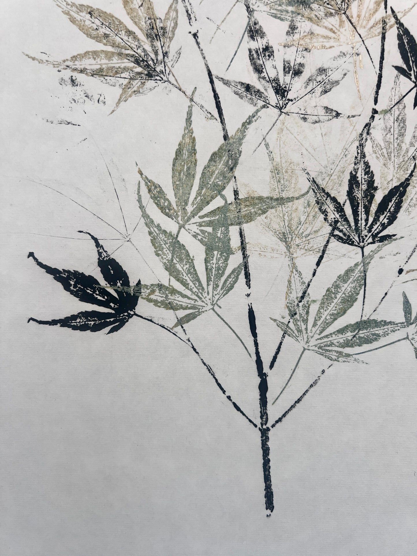 Gyotaku of Acer Leaves in Black and Green/Gold
