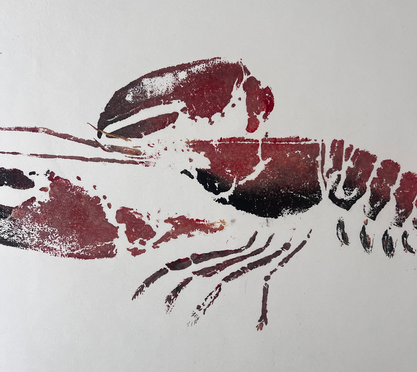 Menai Strait Lobster, Gyotaku Printed and Wet Mounted.