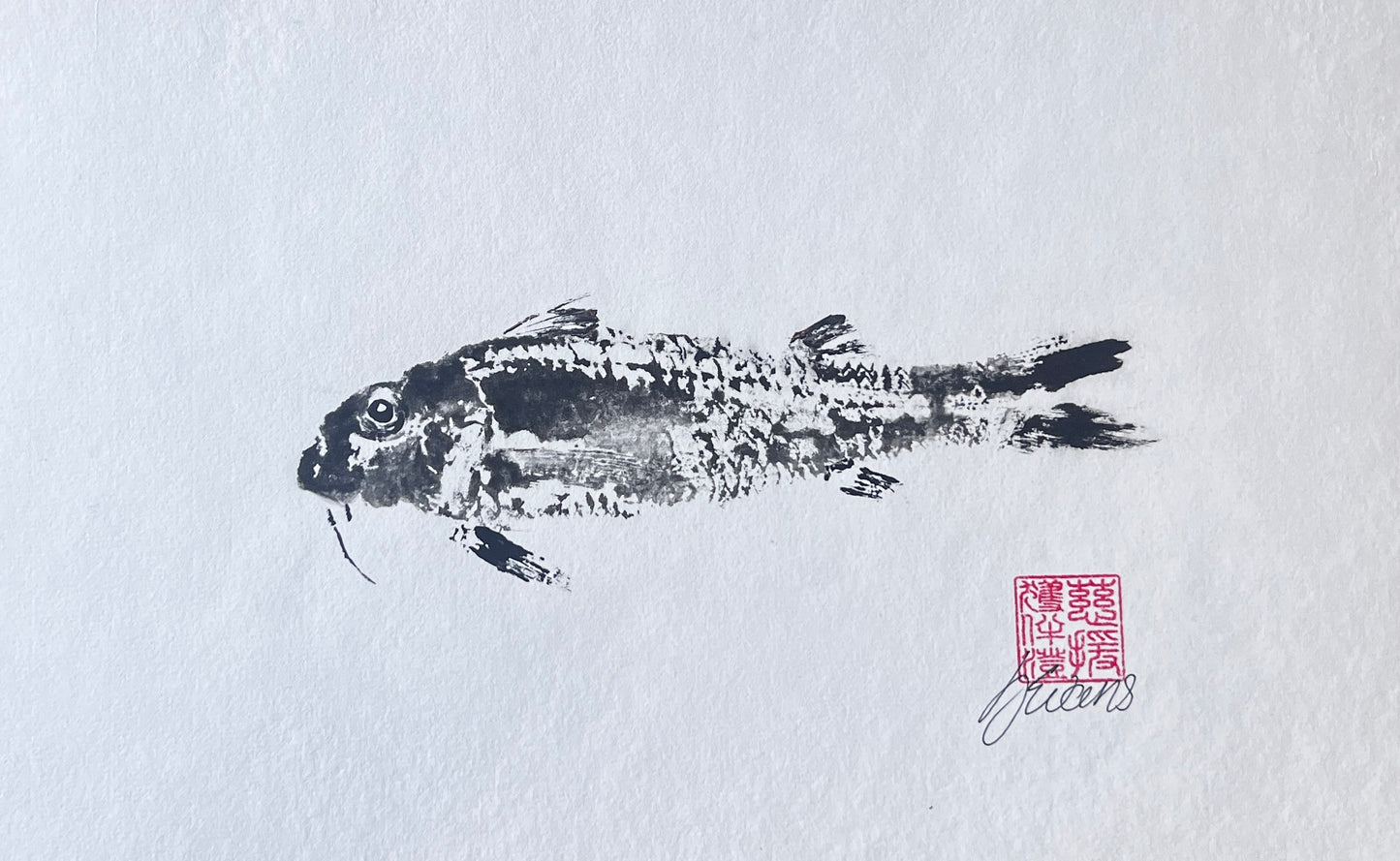 Gyotaku of a small Red Mullet from the waters of North Wales in Sumi