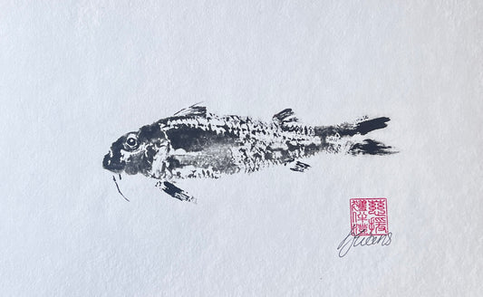Gyotaku of a small Red Mullet from the waters of North Wales in Sumi