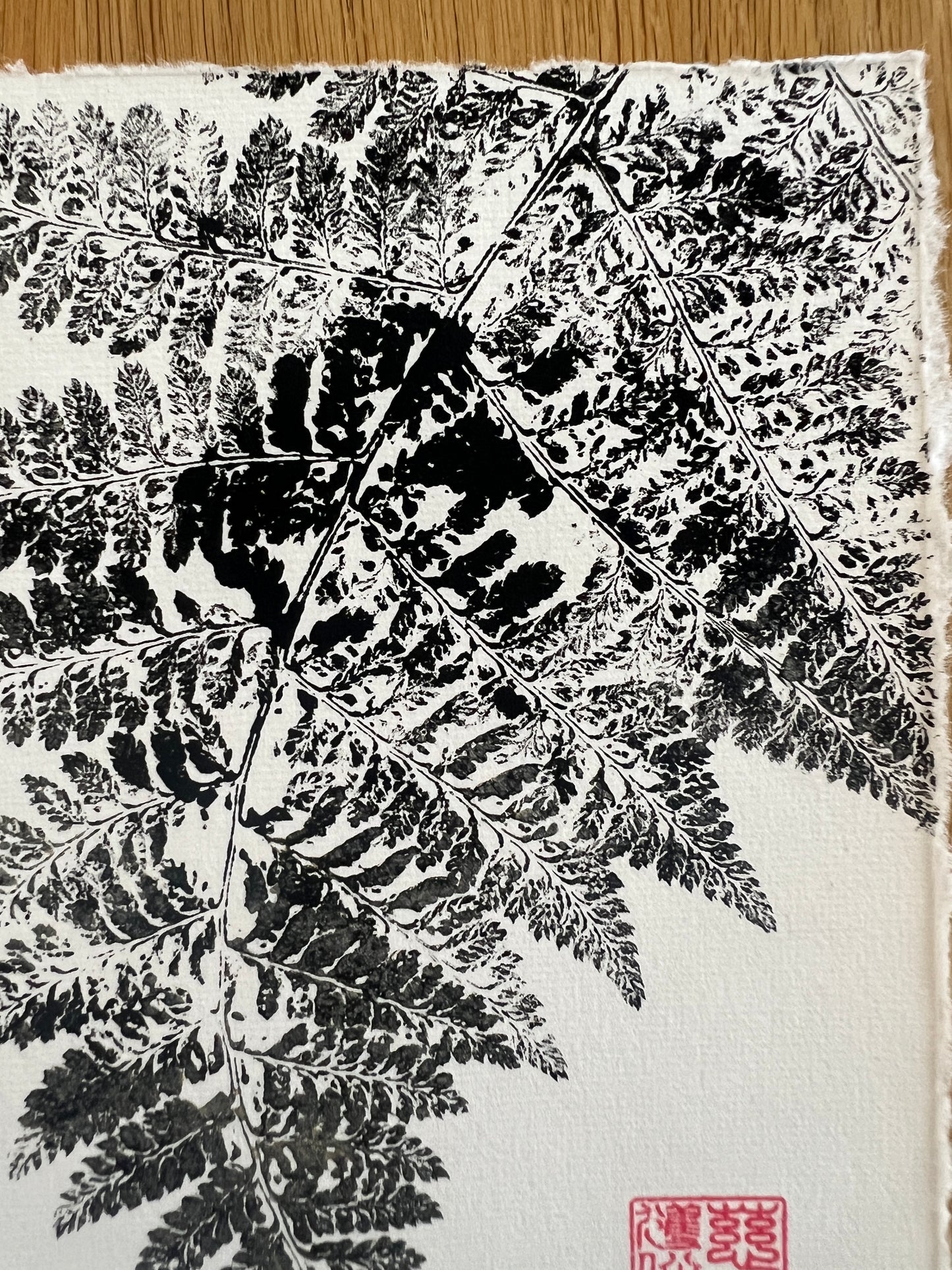 A5 Fern Frond Print – Gyotaku-Inspired Botanical Wall Art