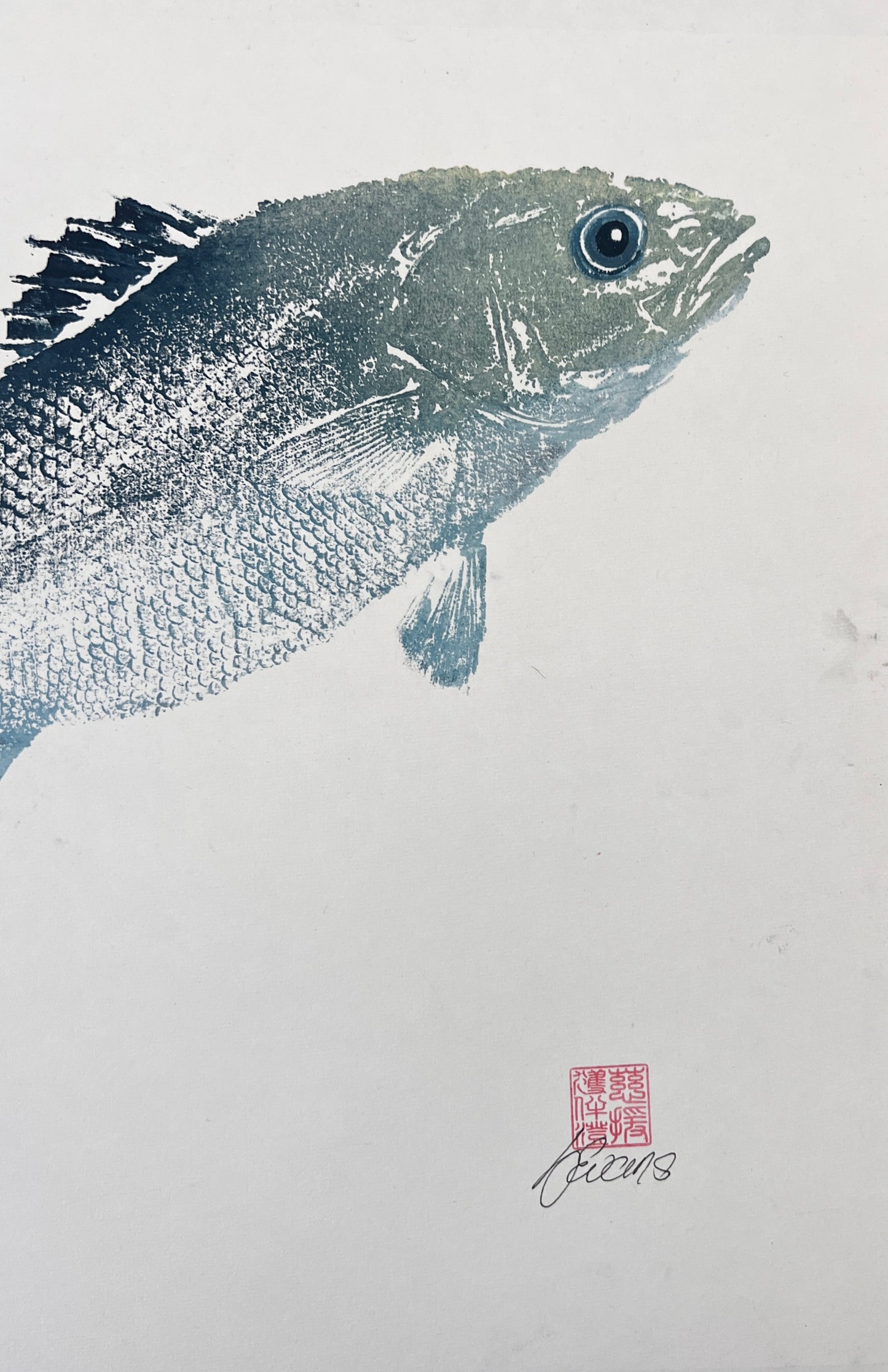 Anglesey Sea Bass Gyotaku