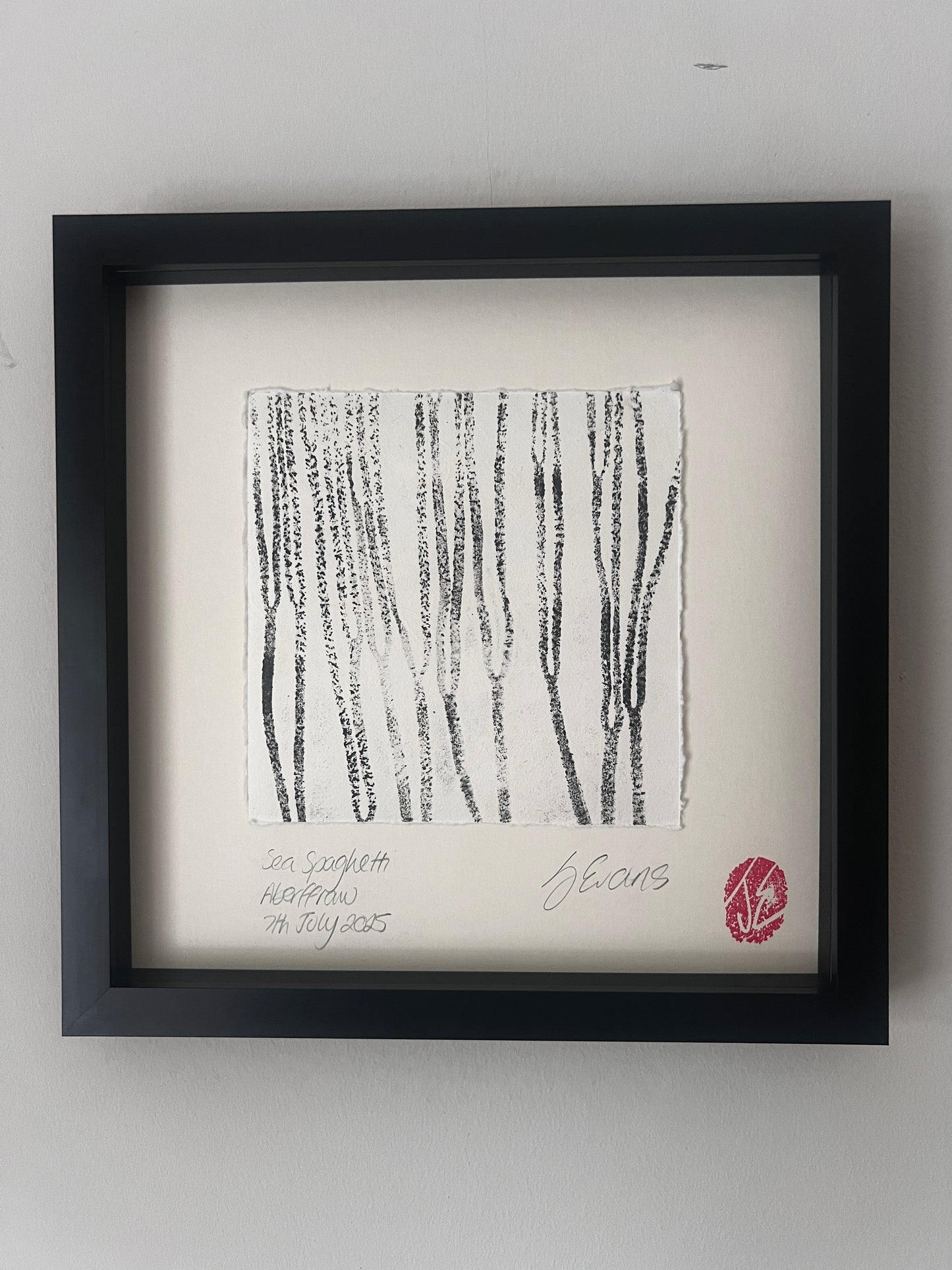 Sea Spaghetti