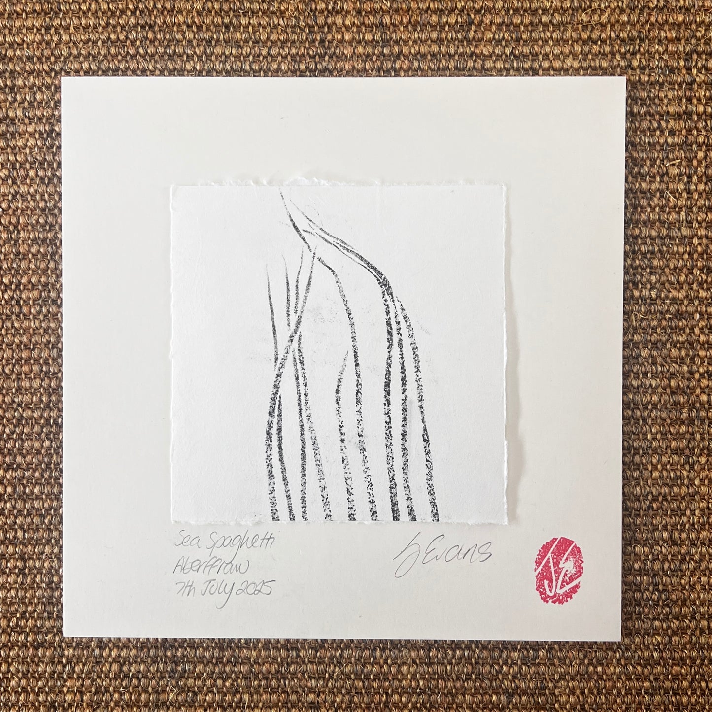 Sea Spaghetti