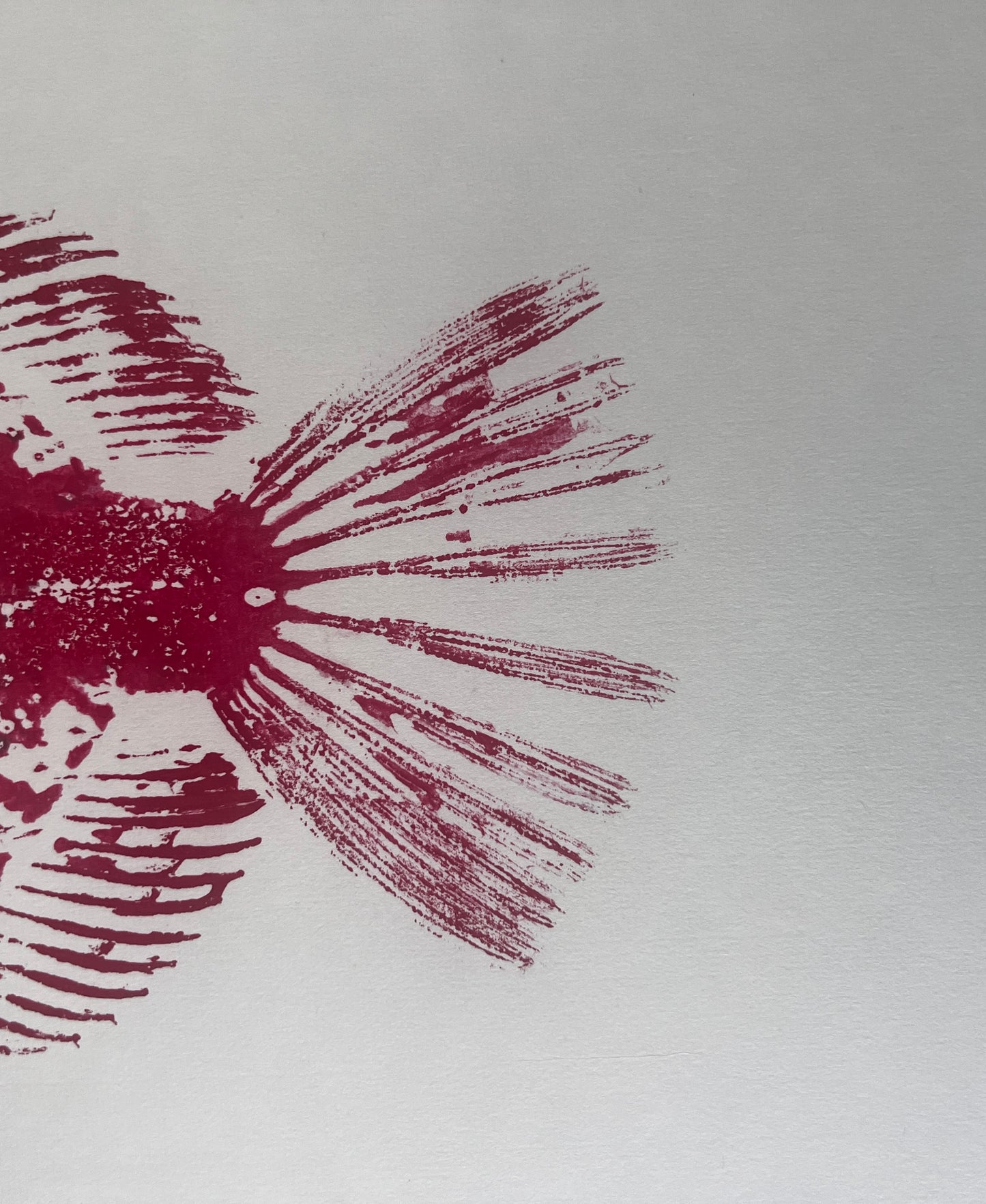Gyotaku of John Dory in Red Ink