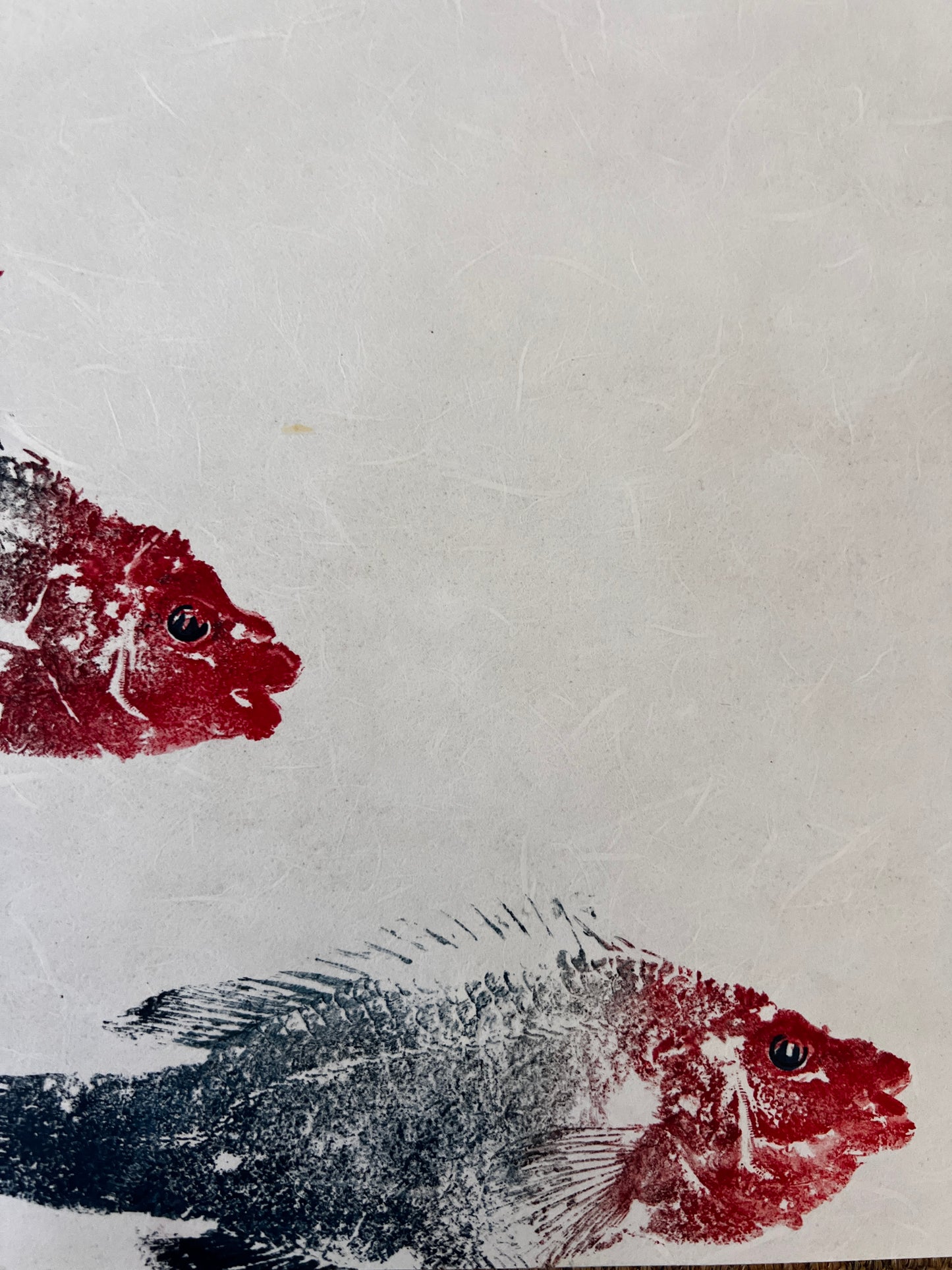 Menai Strait Wrasse Gyotaku Print
