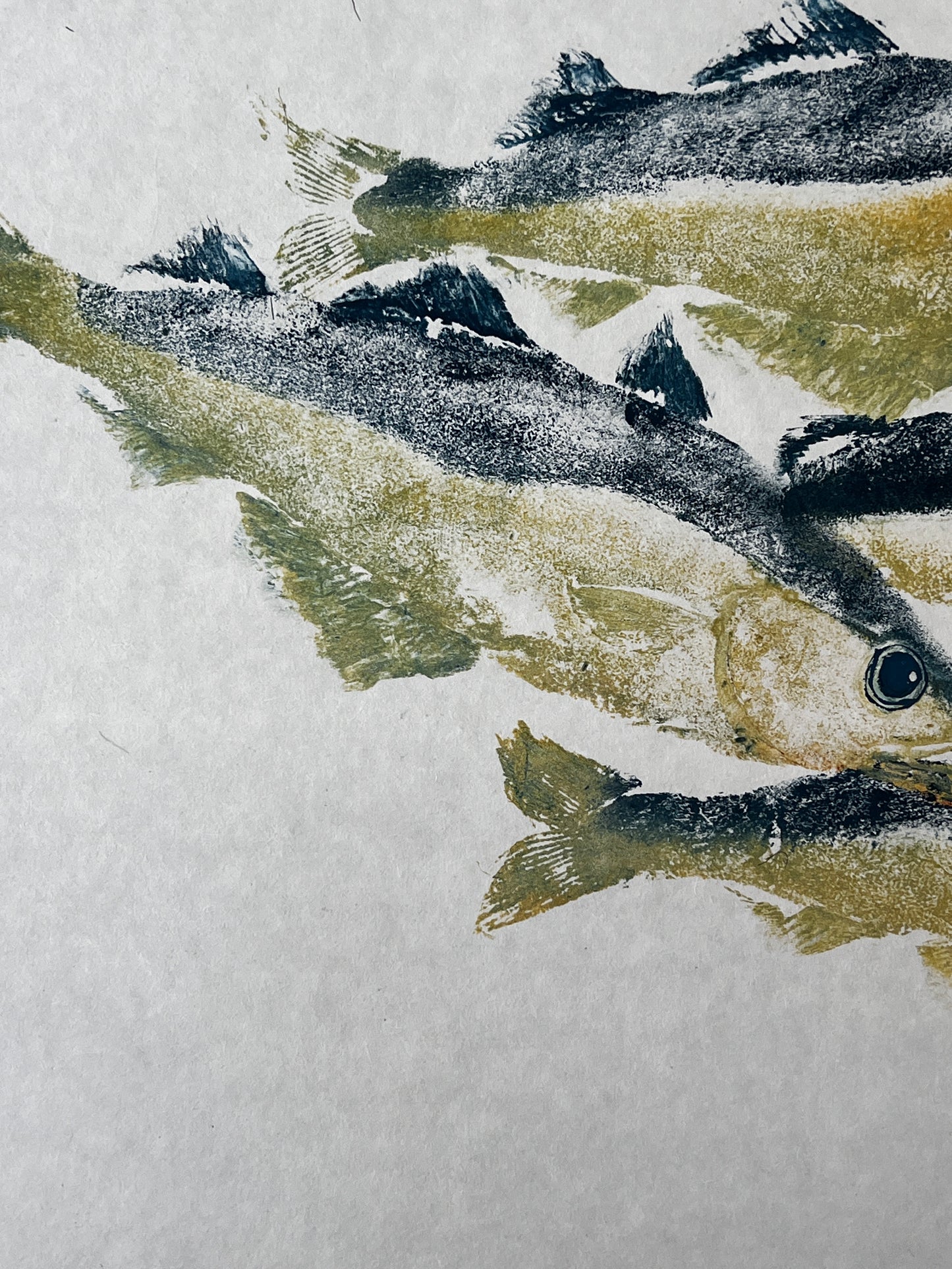 Menai Strait Pollock Gyotaku