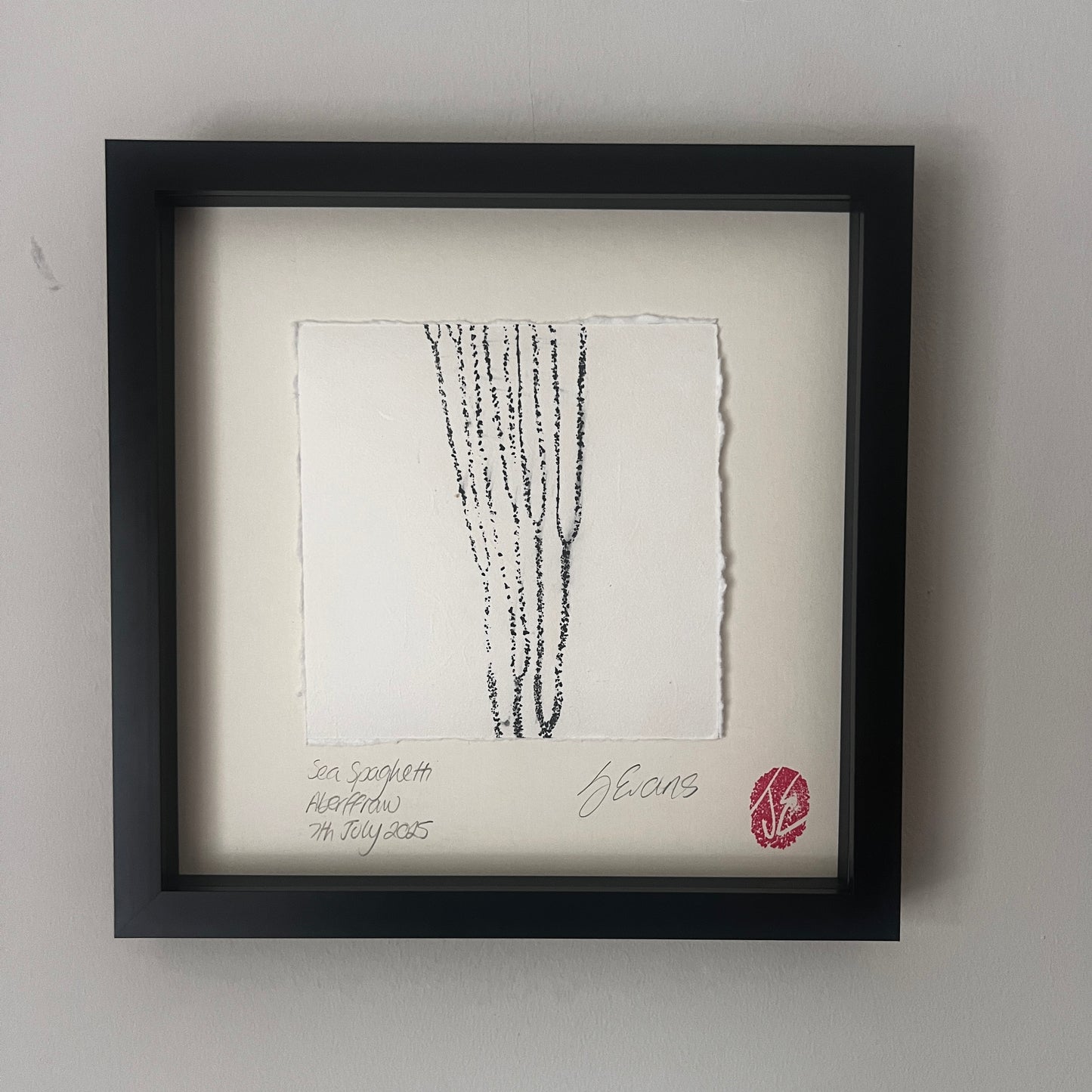 Sea Spaghetti