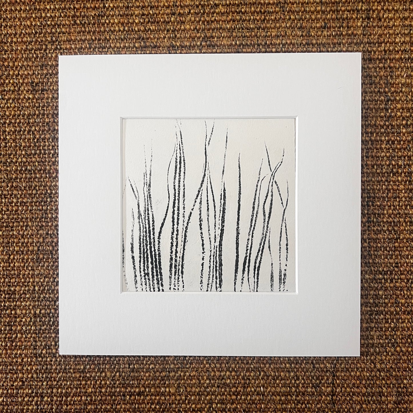 Sea Spaghetti
