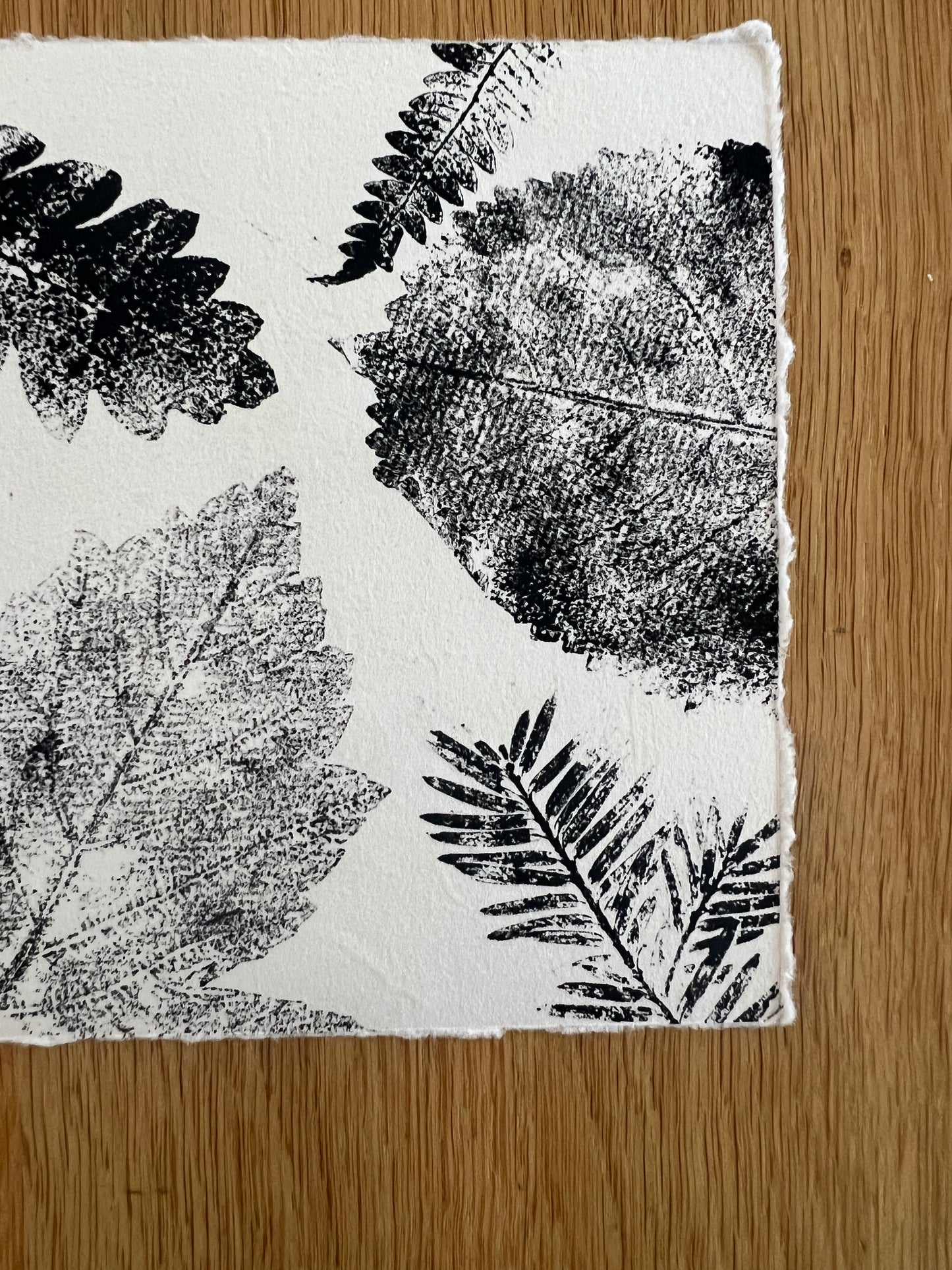 Coed Cyrnol Leaf Print – Black Ink on Thai Mulberry Paper