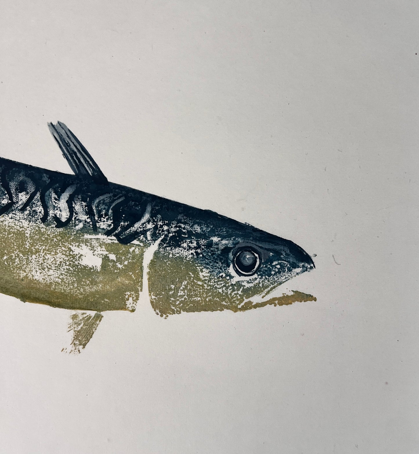 IMPRESSION TAKEN FROM A MACKEREL BLUE AND GOLD