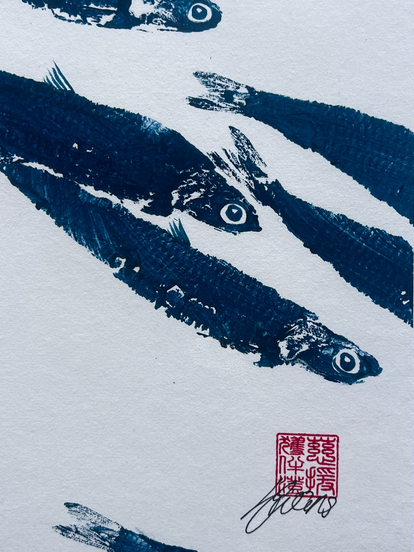 Anchovies Gyotaku