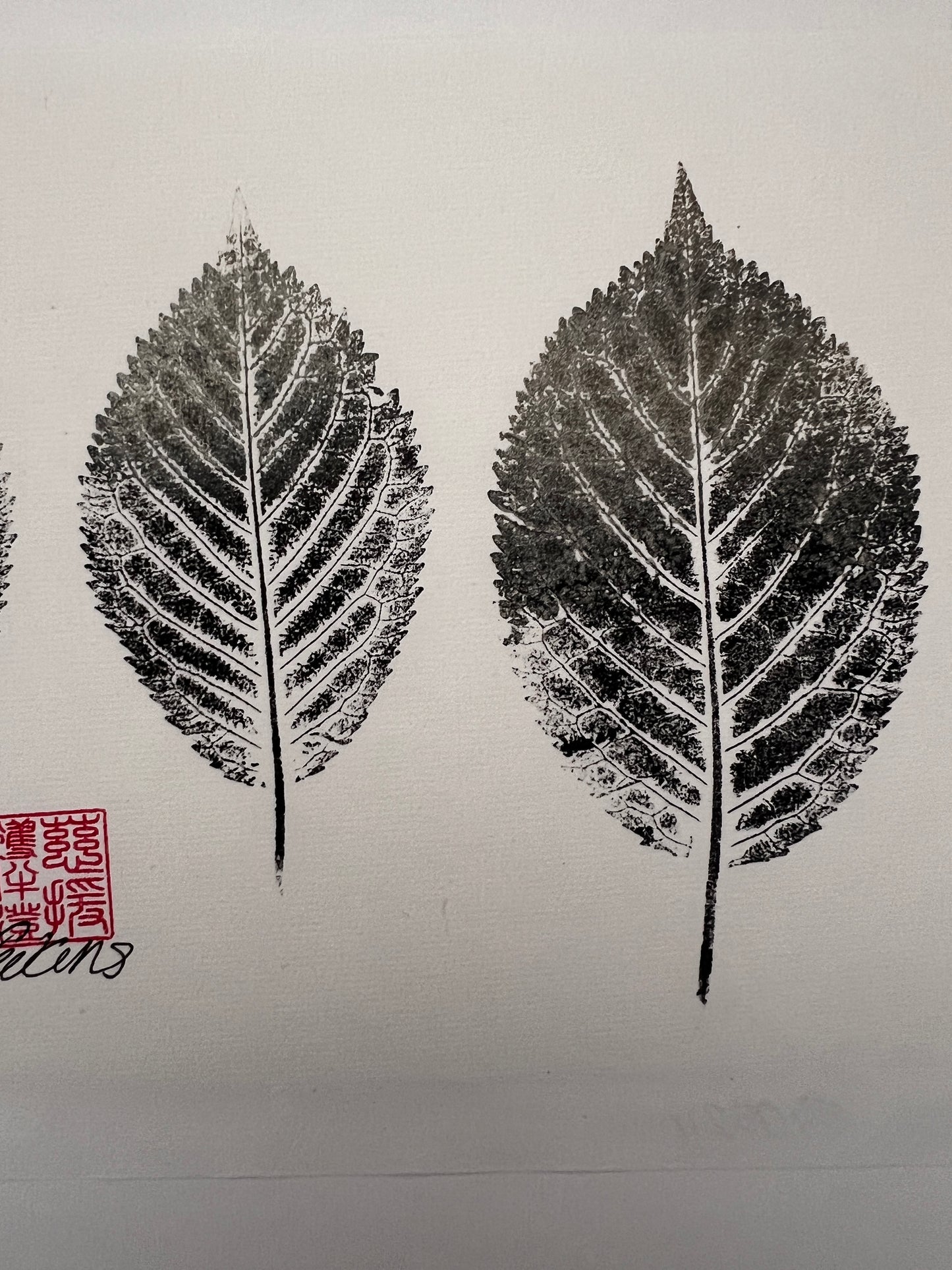 Gyotaku of Ash Leaves