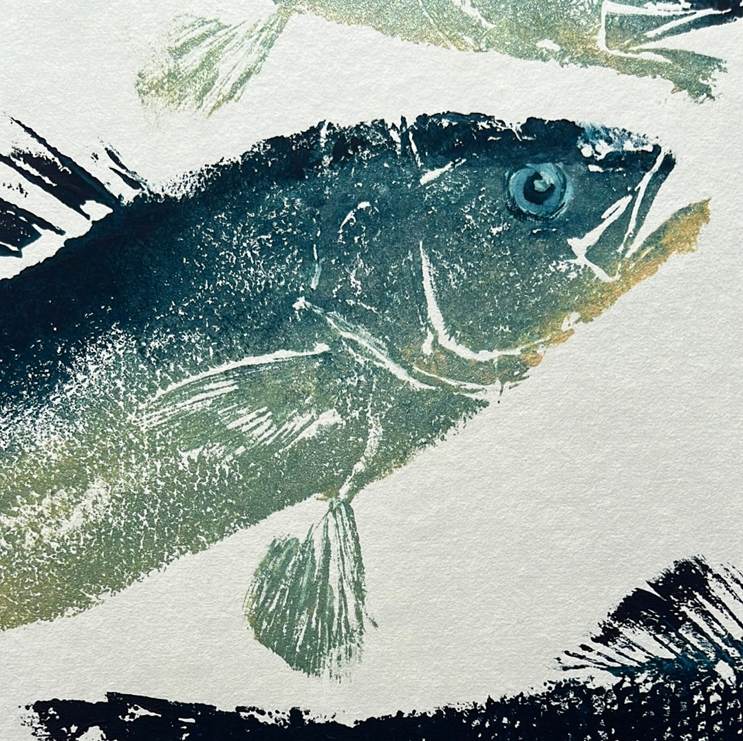 Sea Bass Triptych Gyotaku