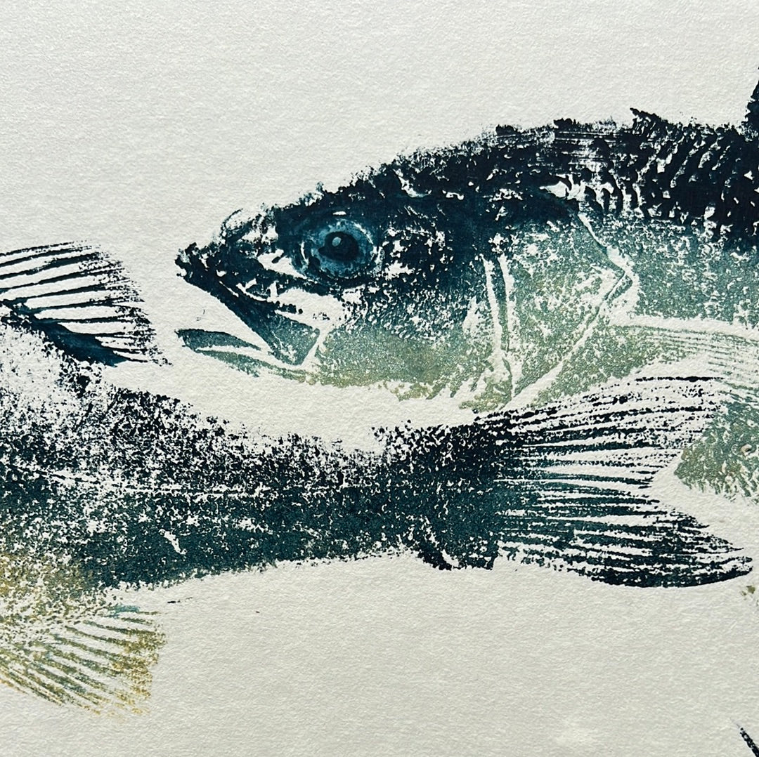 Sea Bass Triptych Gyotaku
