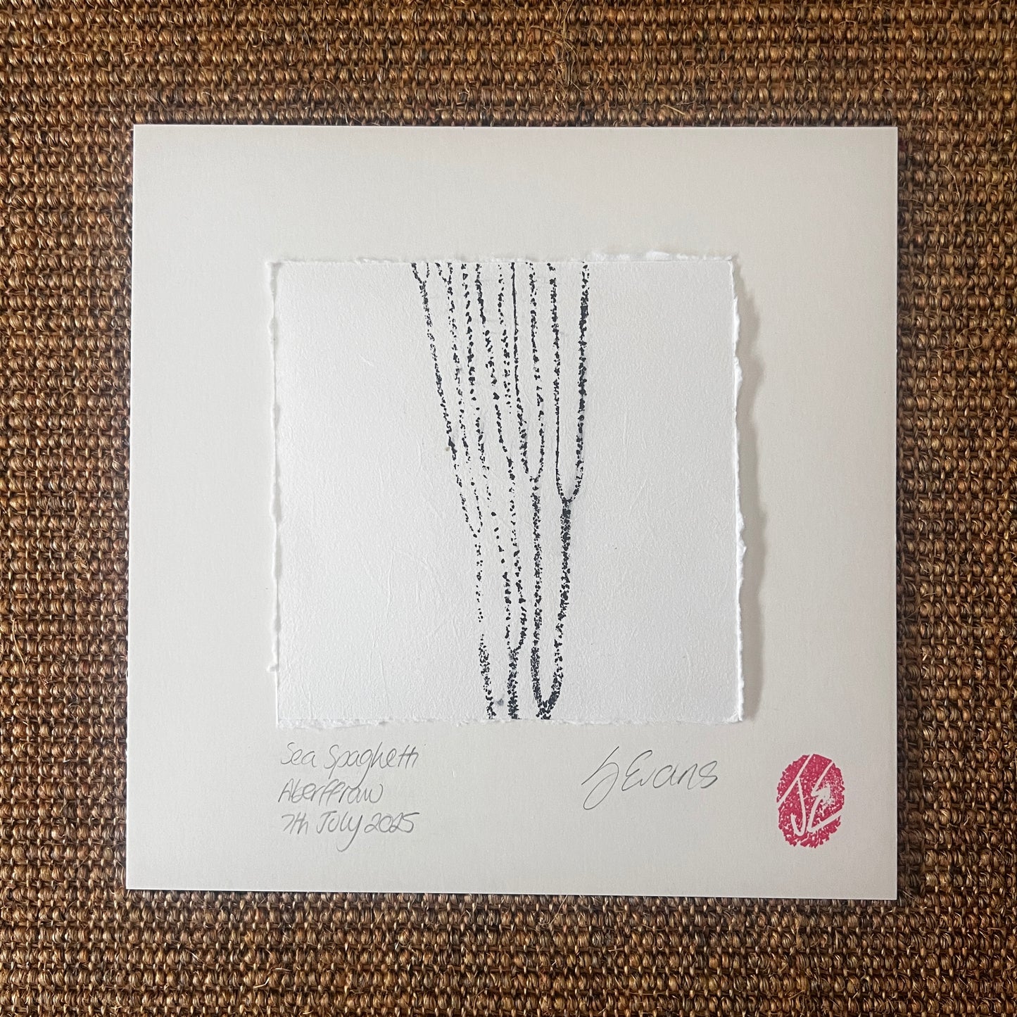Sea Spaghetti