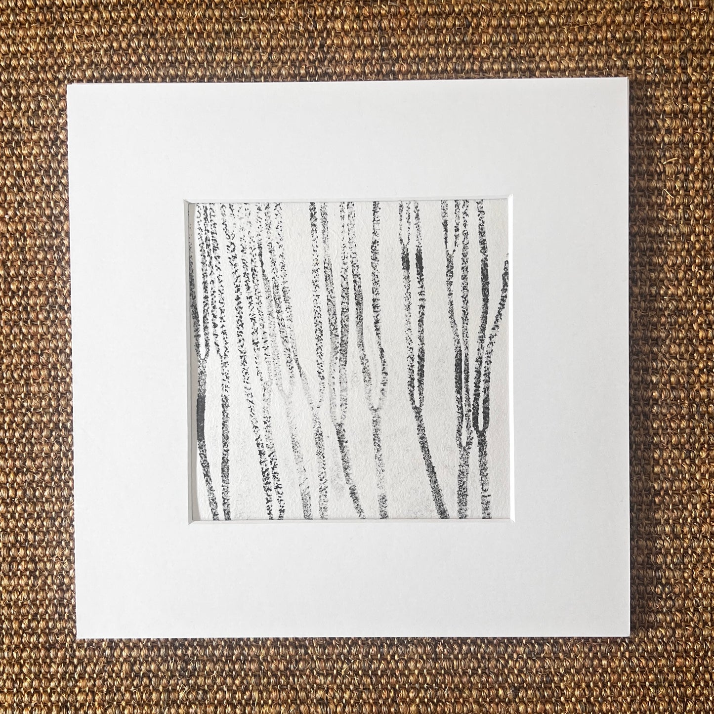 Sea Spaghetti