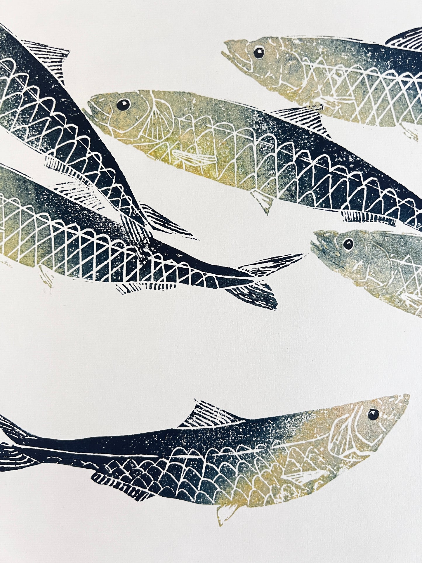 Sardine Lino Print Gyotau