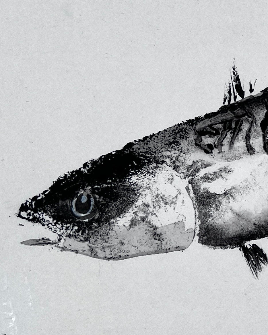 MACKEREL, HAND PAINTED GYOTAKU