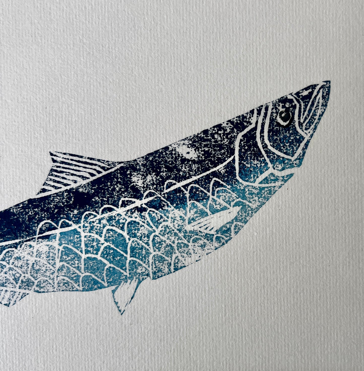 A4 Sardine Lino Print Gyotau