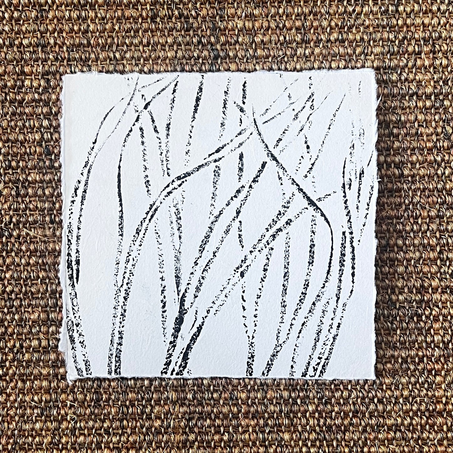 Sea Spaghetti