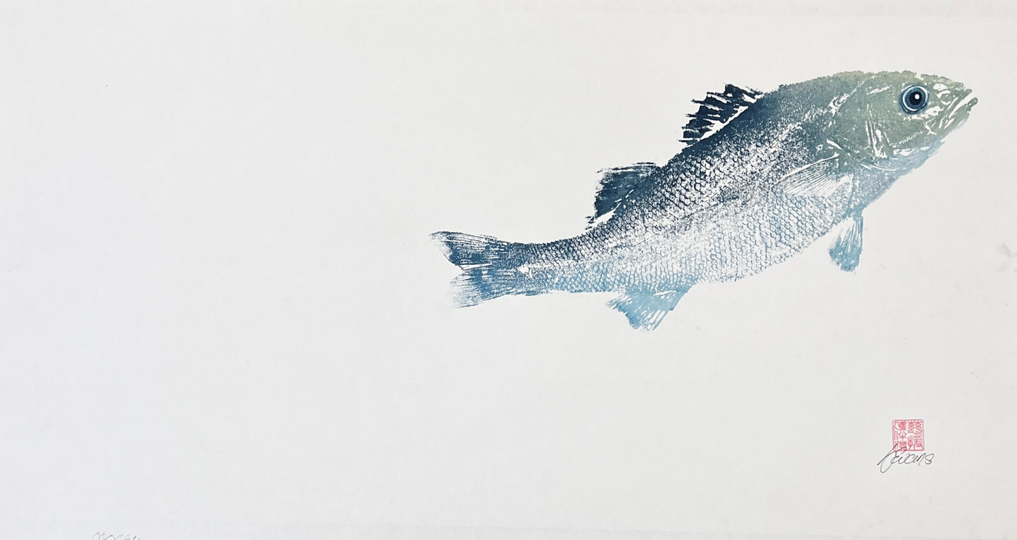 Anglesey Sea Bass Gyotaku