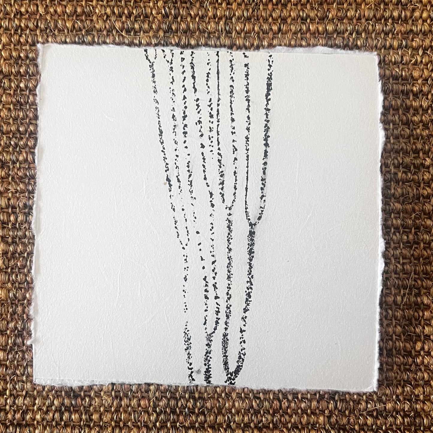 Sea Spaghetti