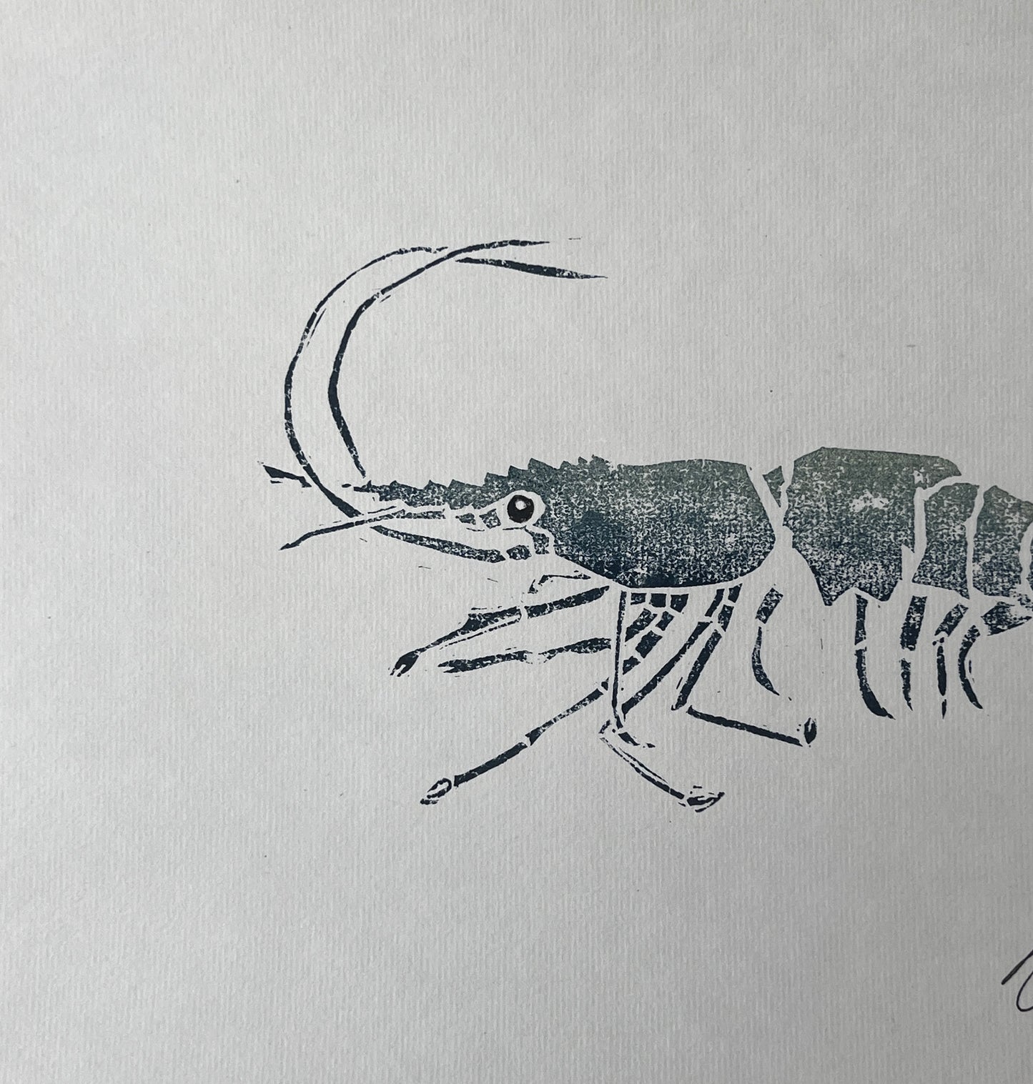 Linotaku Prawn Print by Jane Evans