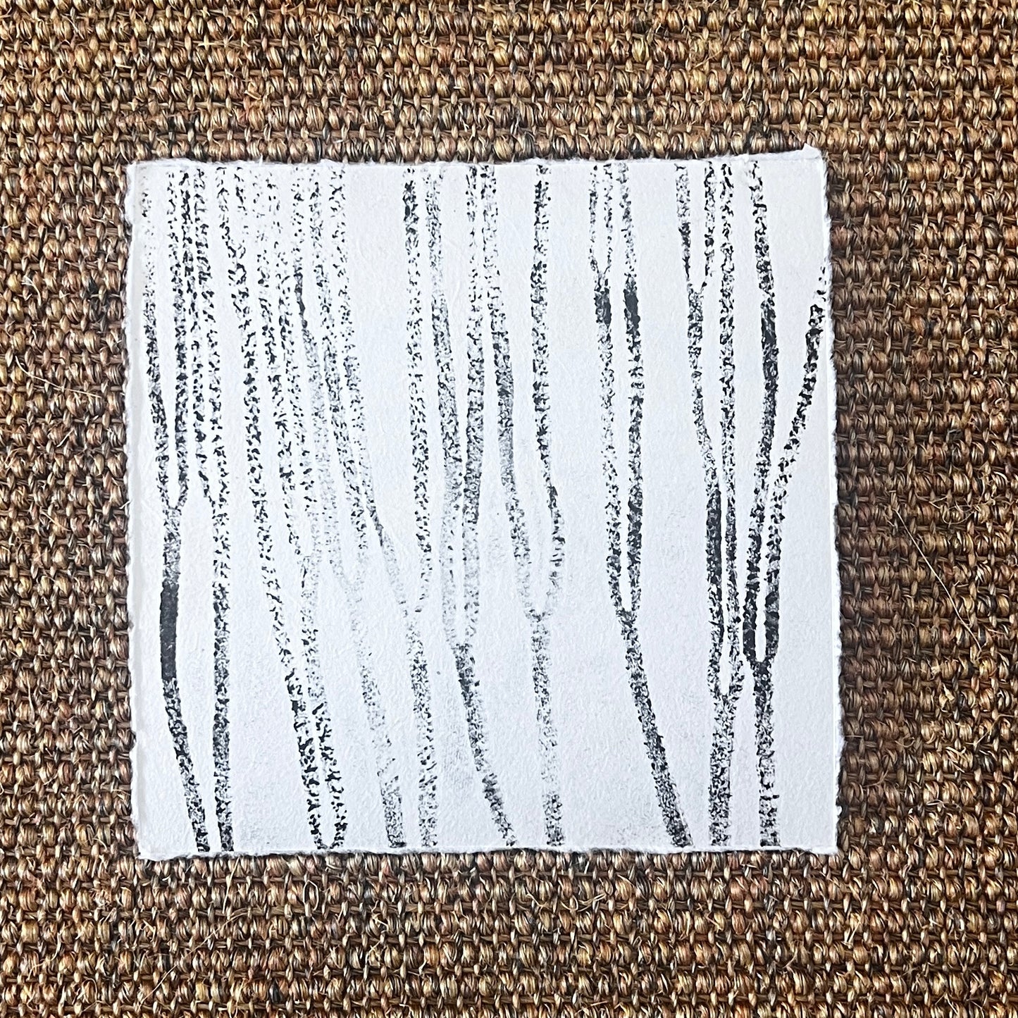 Sea Spaghetti