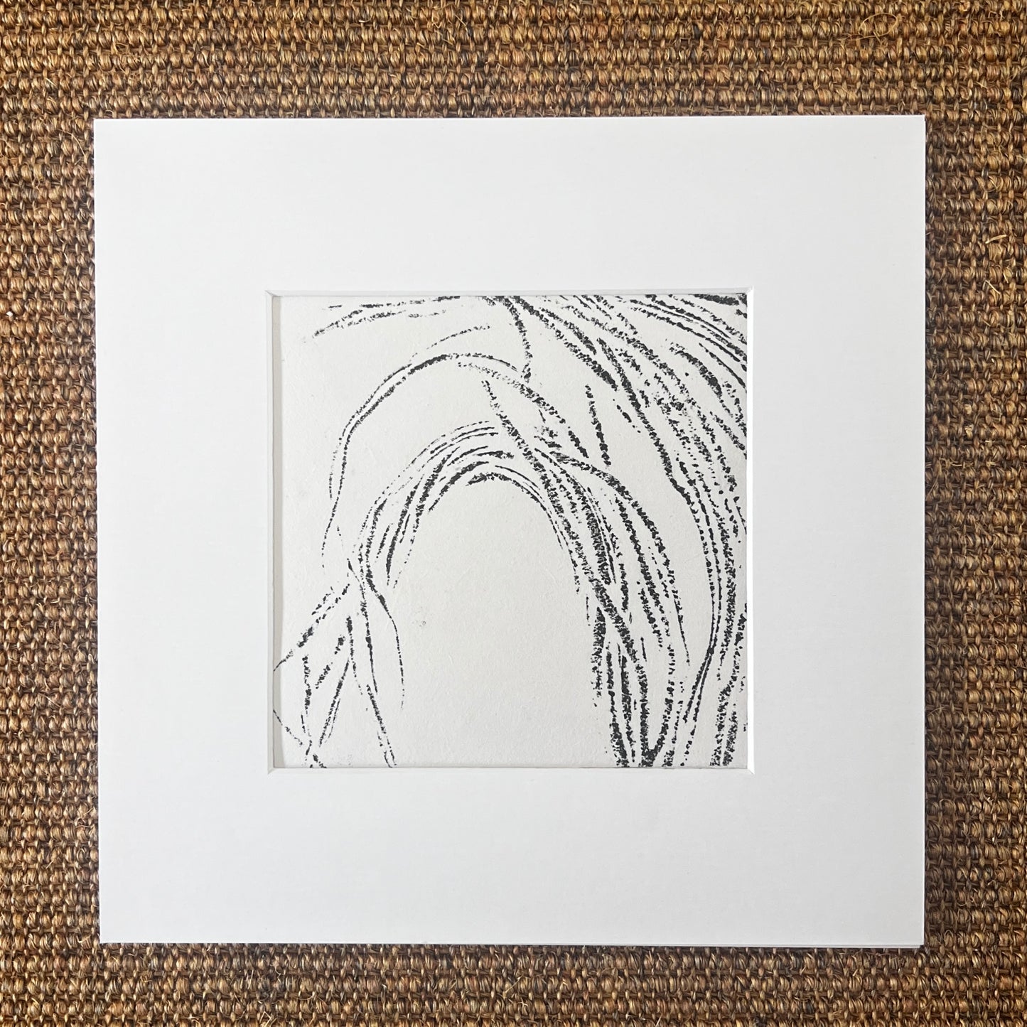 Sea Spaghetti