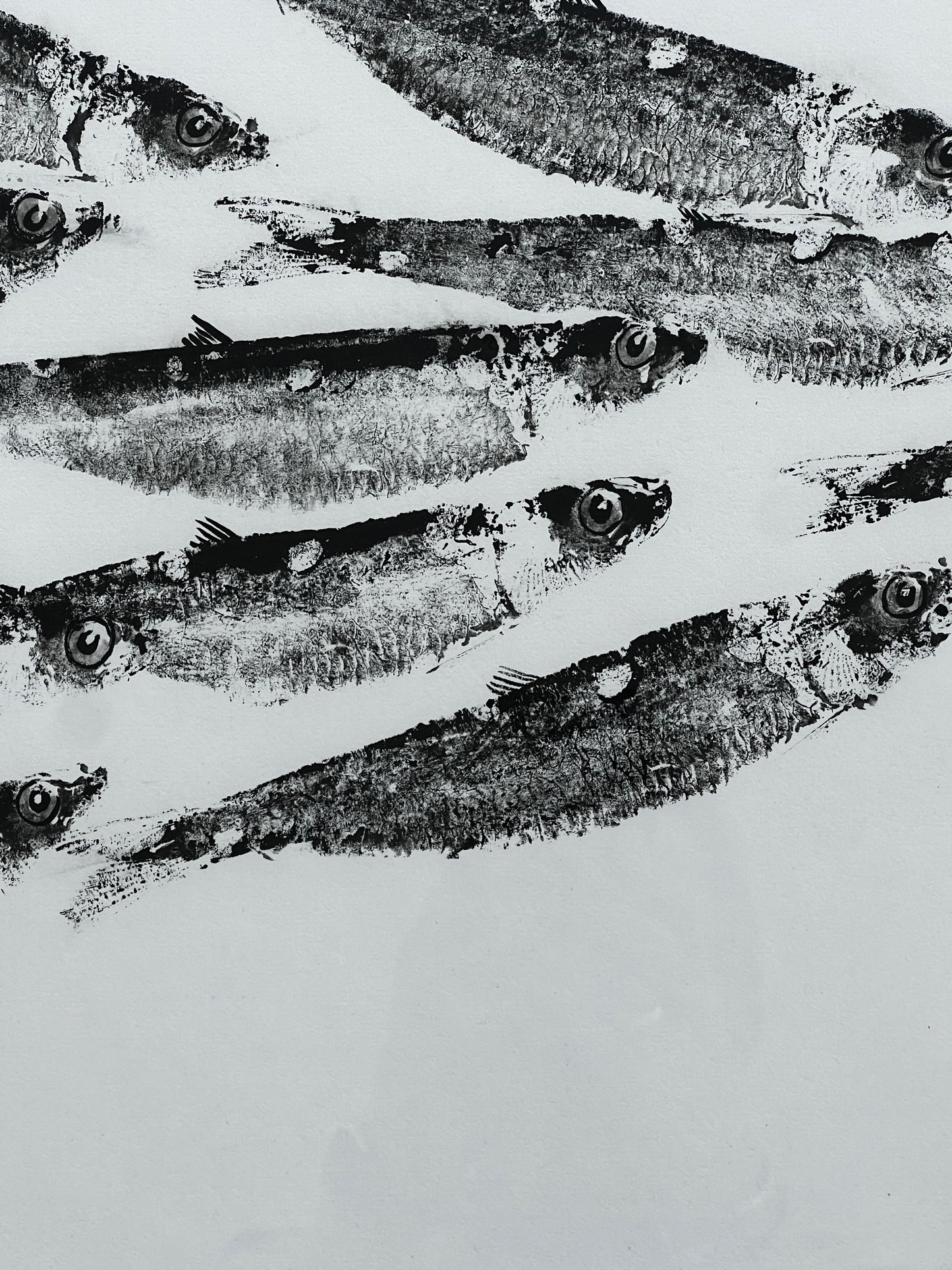 FRAMED TRIPTYCH GYOTAKU OF ANCHOVIES