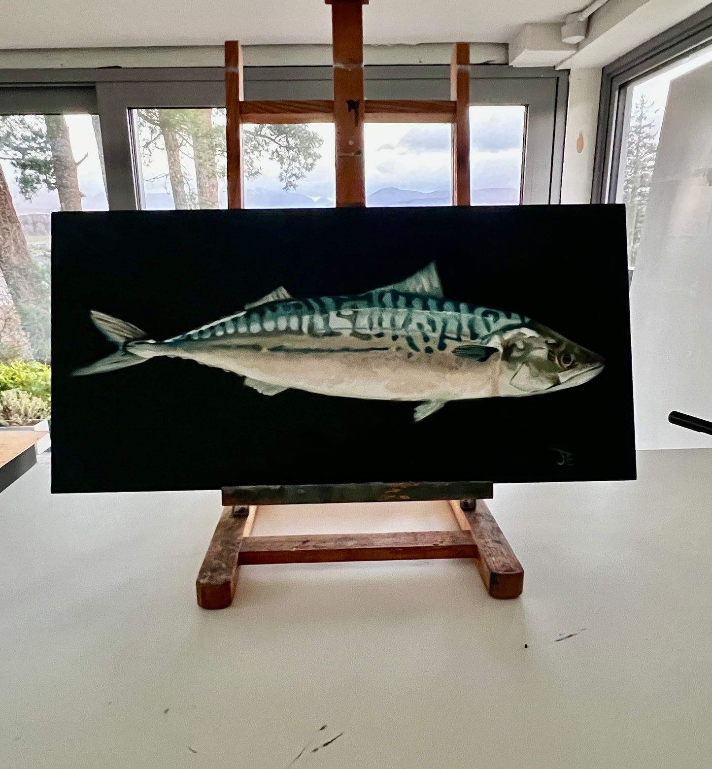 Mackerel Oil on Board