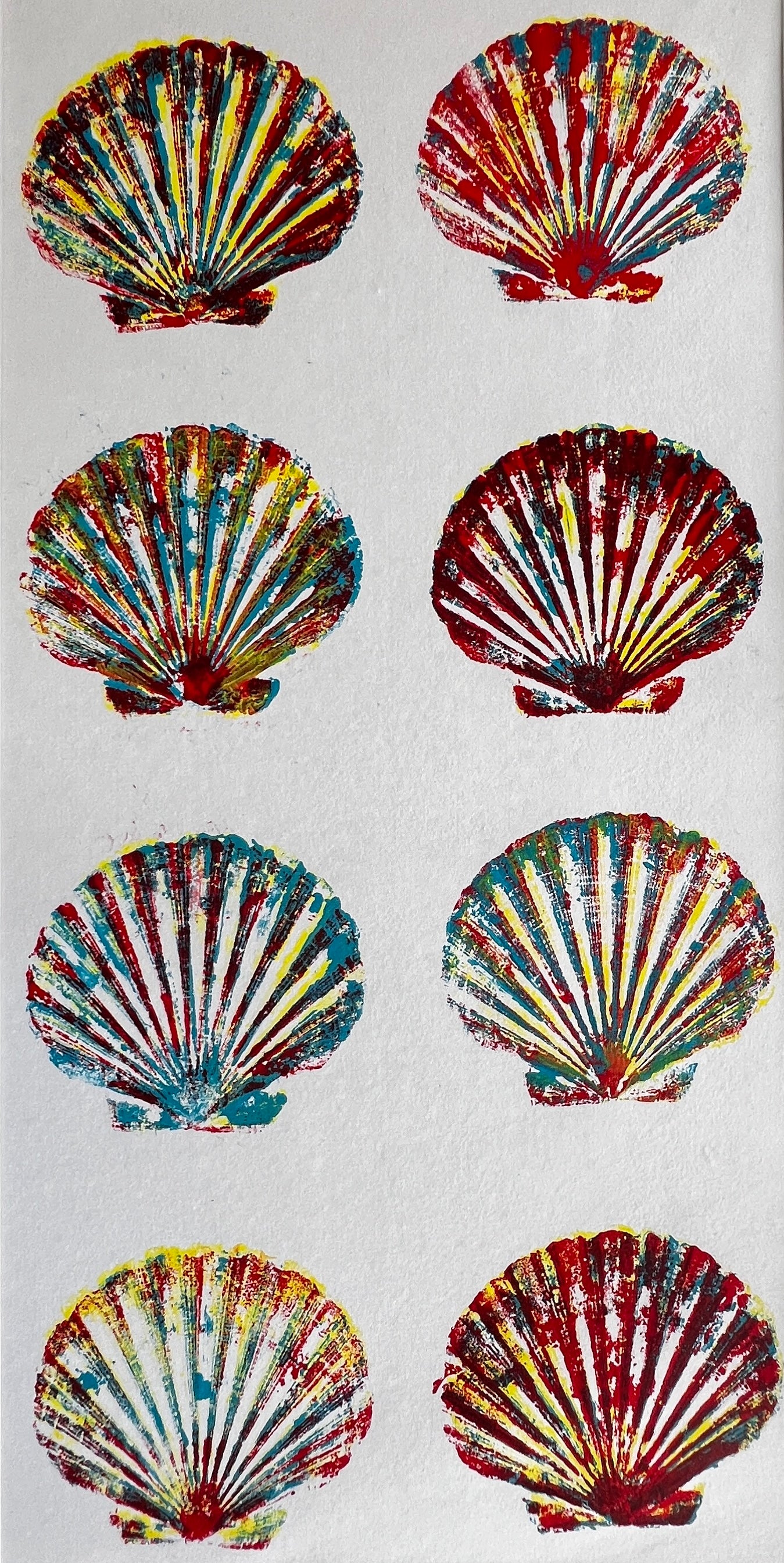 Large Scallop Shell Gyotaku with Multicoloured Layers