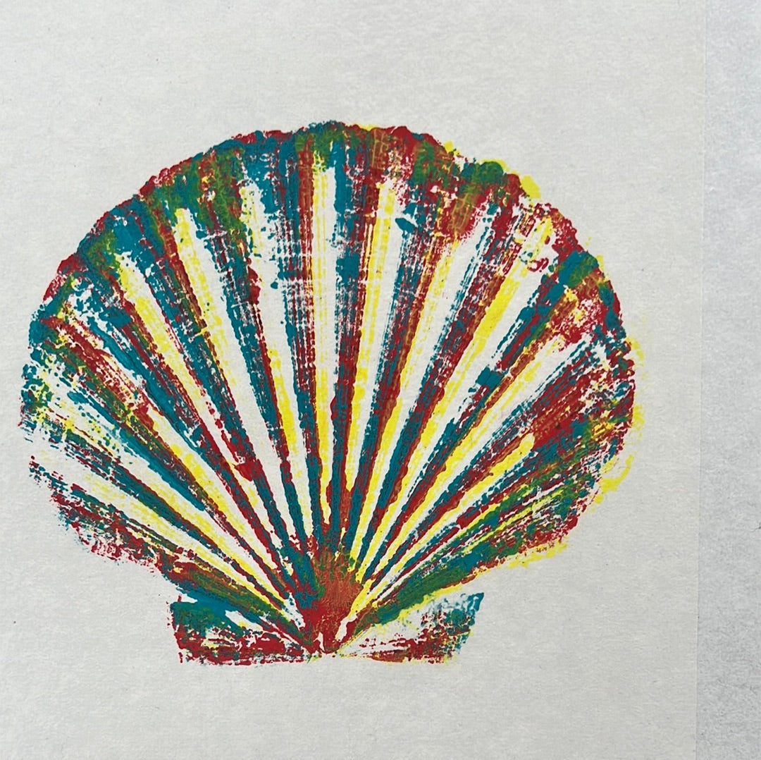Large Scallop Shell Gyotaku with Multicoloured Layers