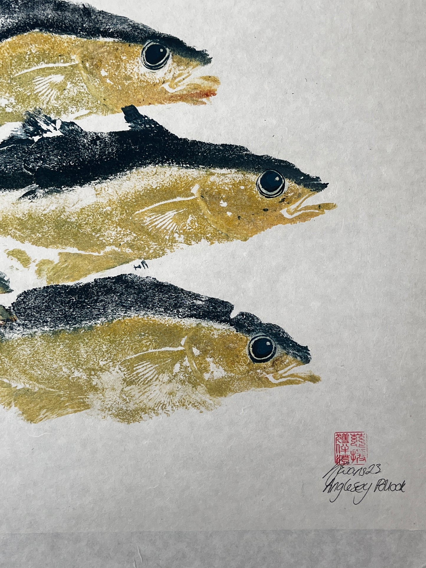 Menai Strait Pollock Gyotaku