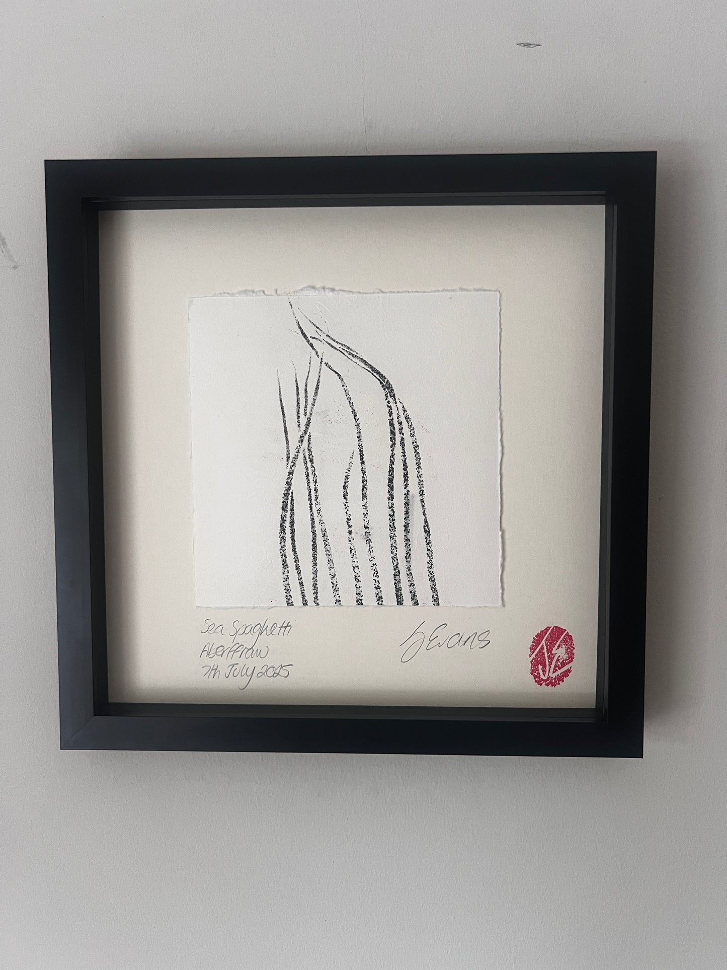 Sea Spaghetti