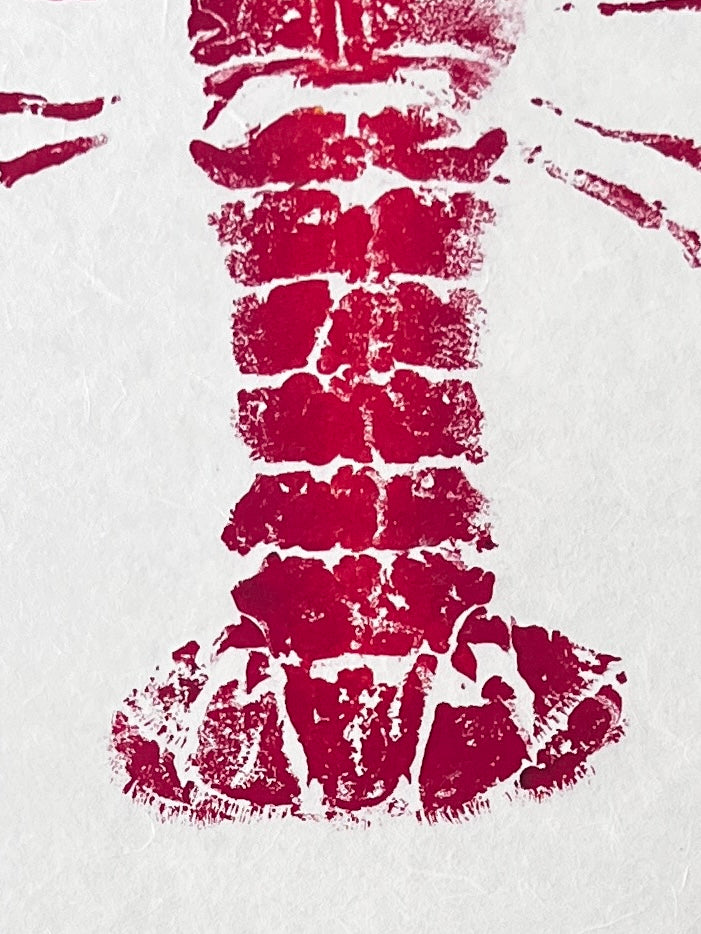 Menai Strait Lobster, Gyotaku Printed in Red ink.