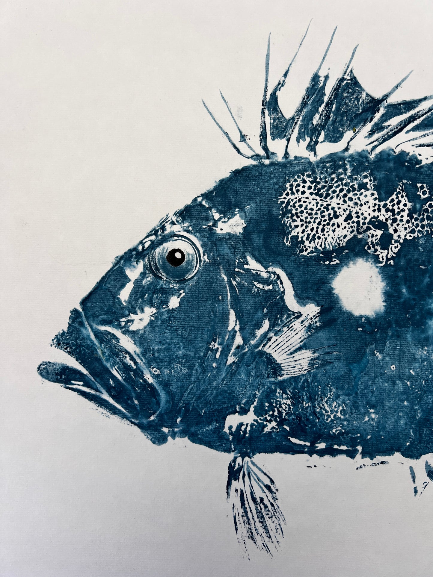 Gyotaku of John Dory