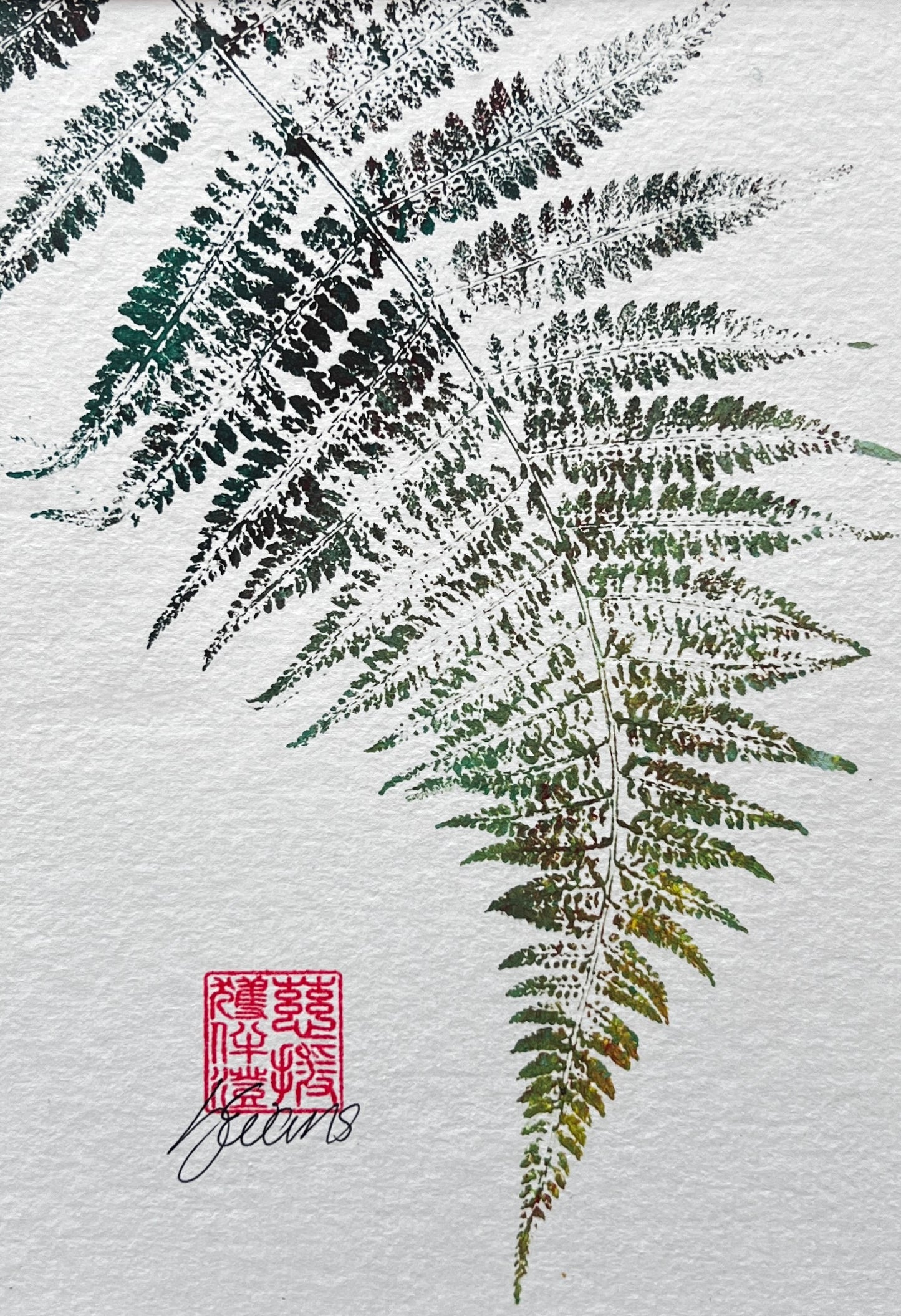 Gyotaku of a Fern Frond