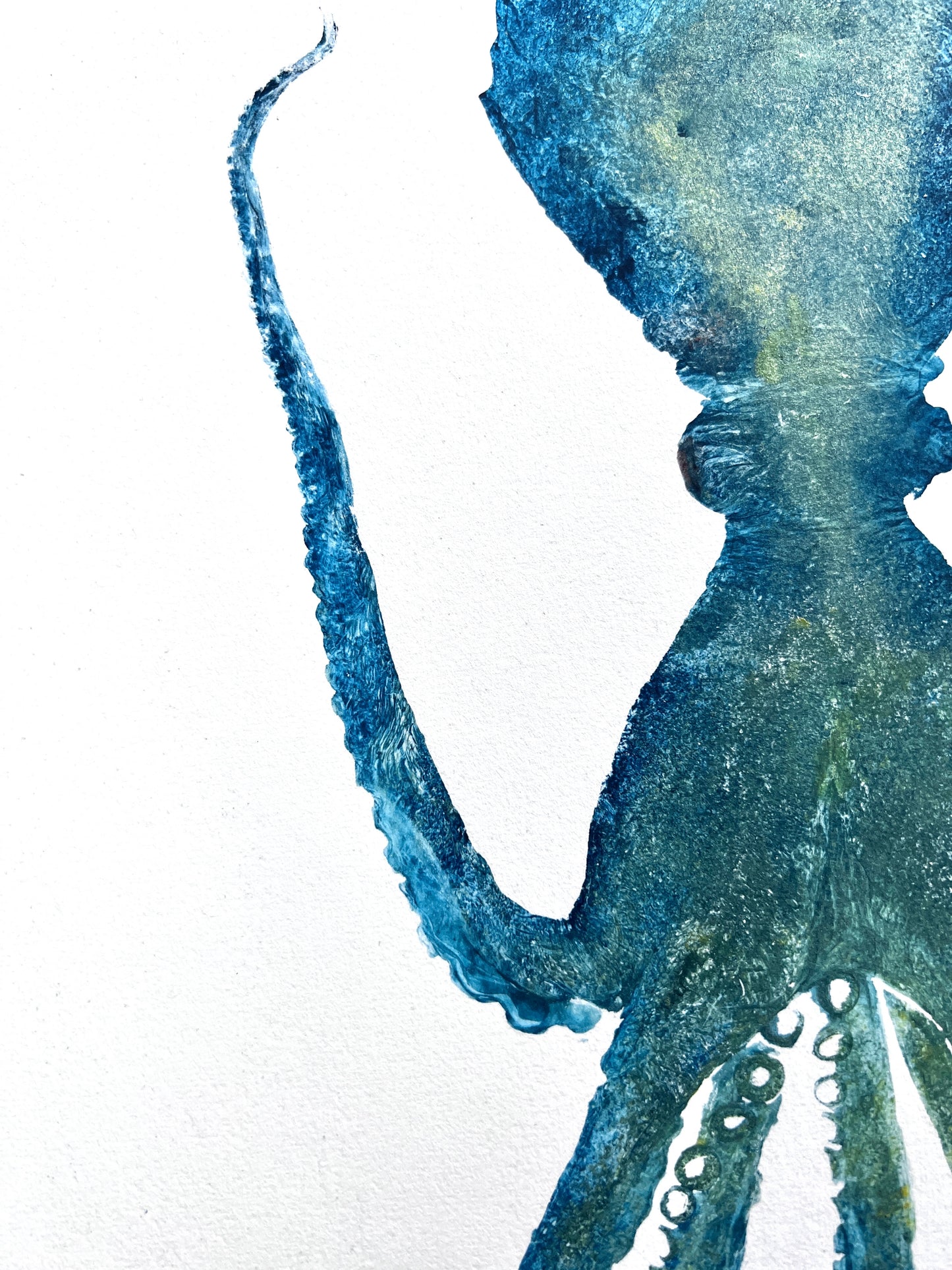 Gyotaku impression taken from the surface of Octopus